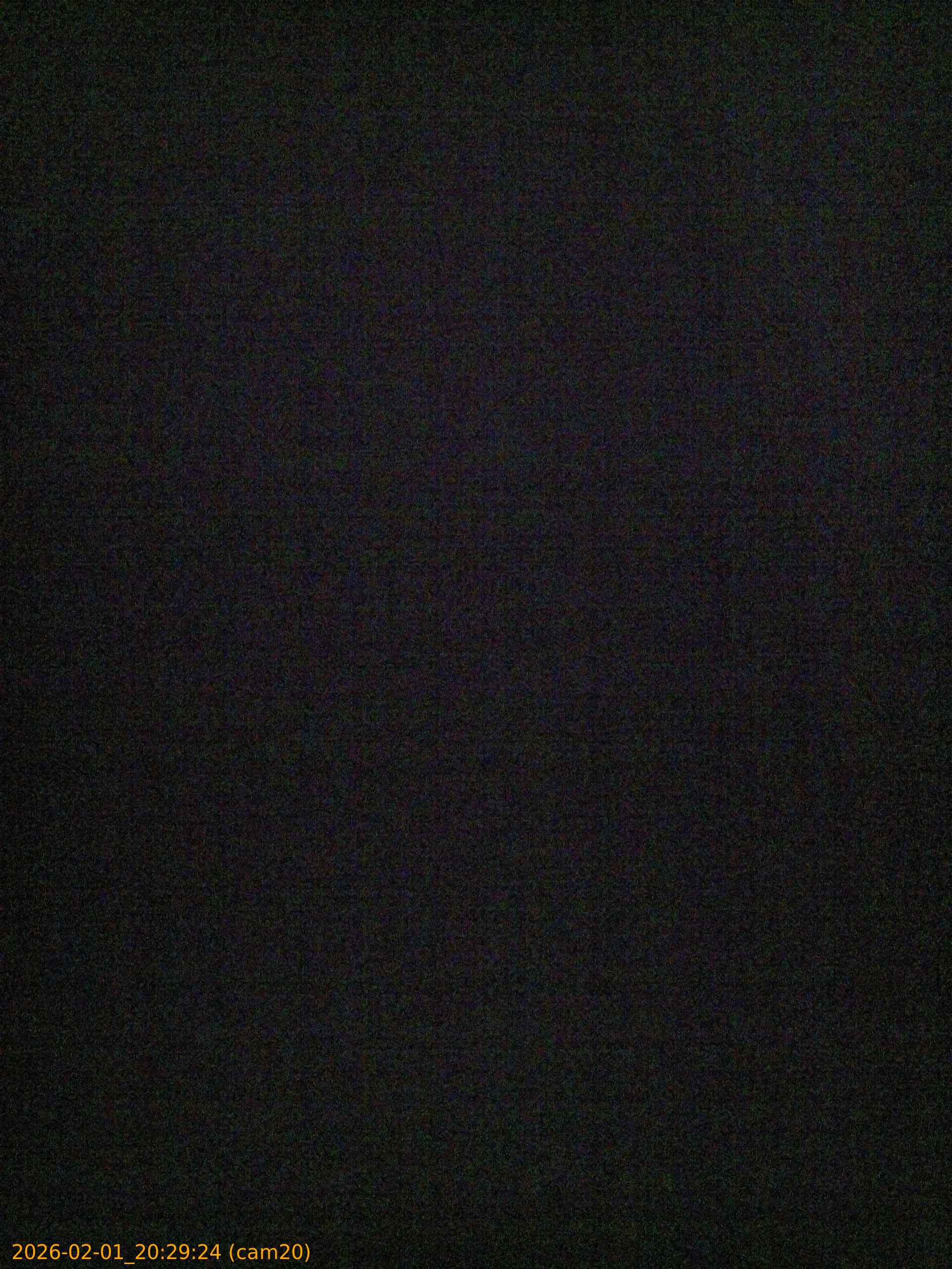 thumbnail_20260201202924