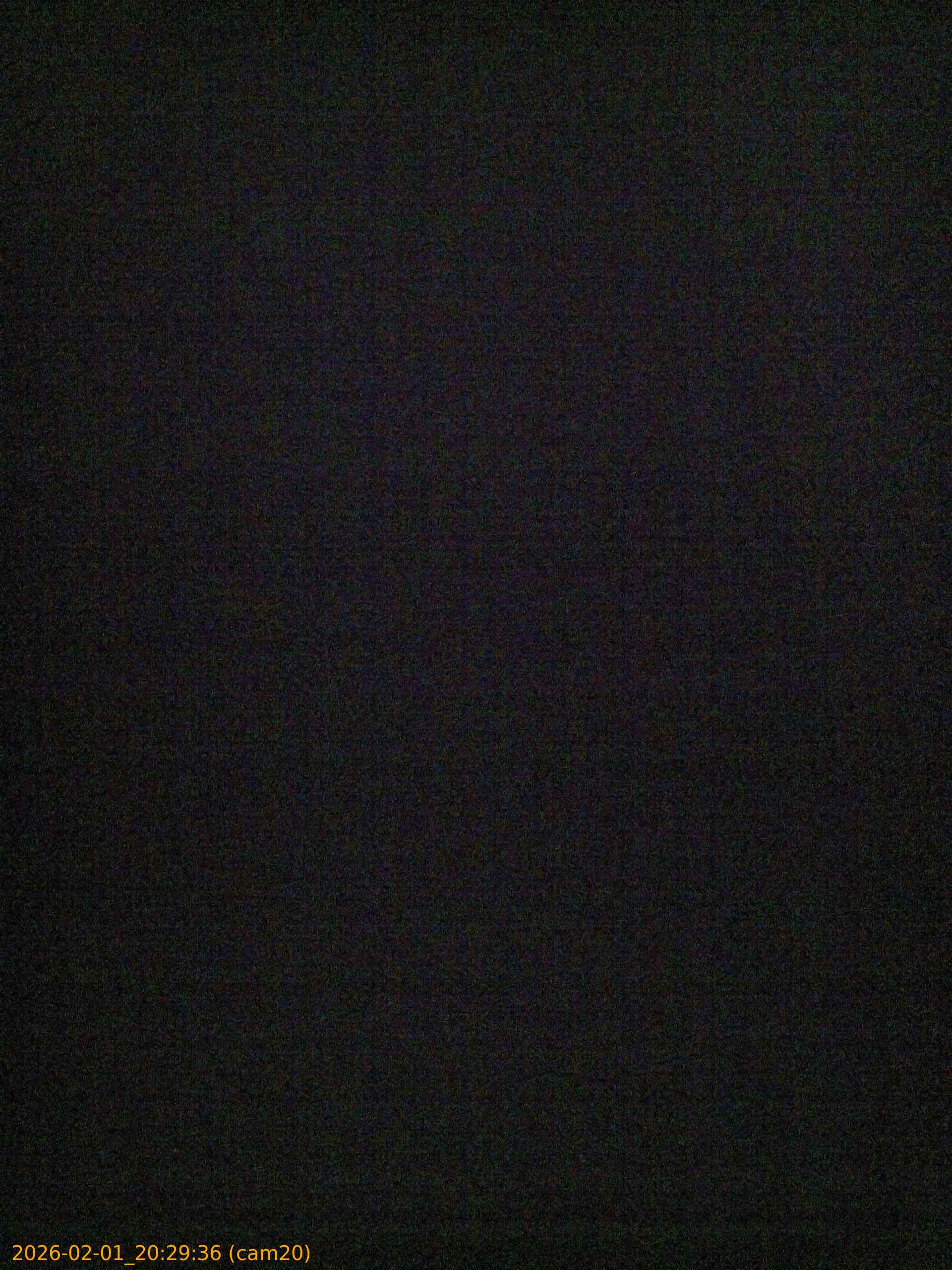 thumbnail_20260201202936