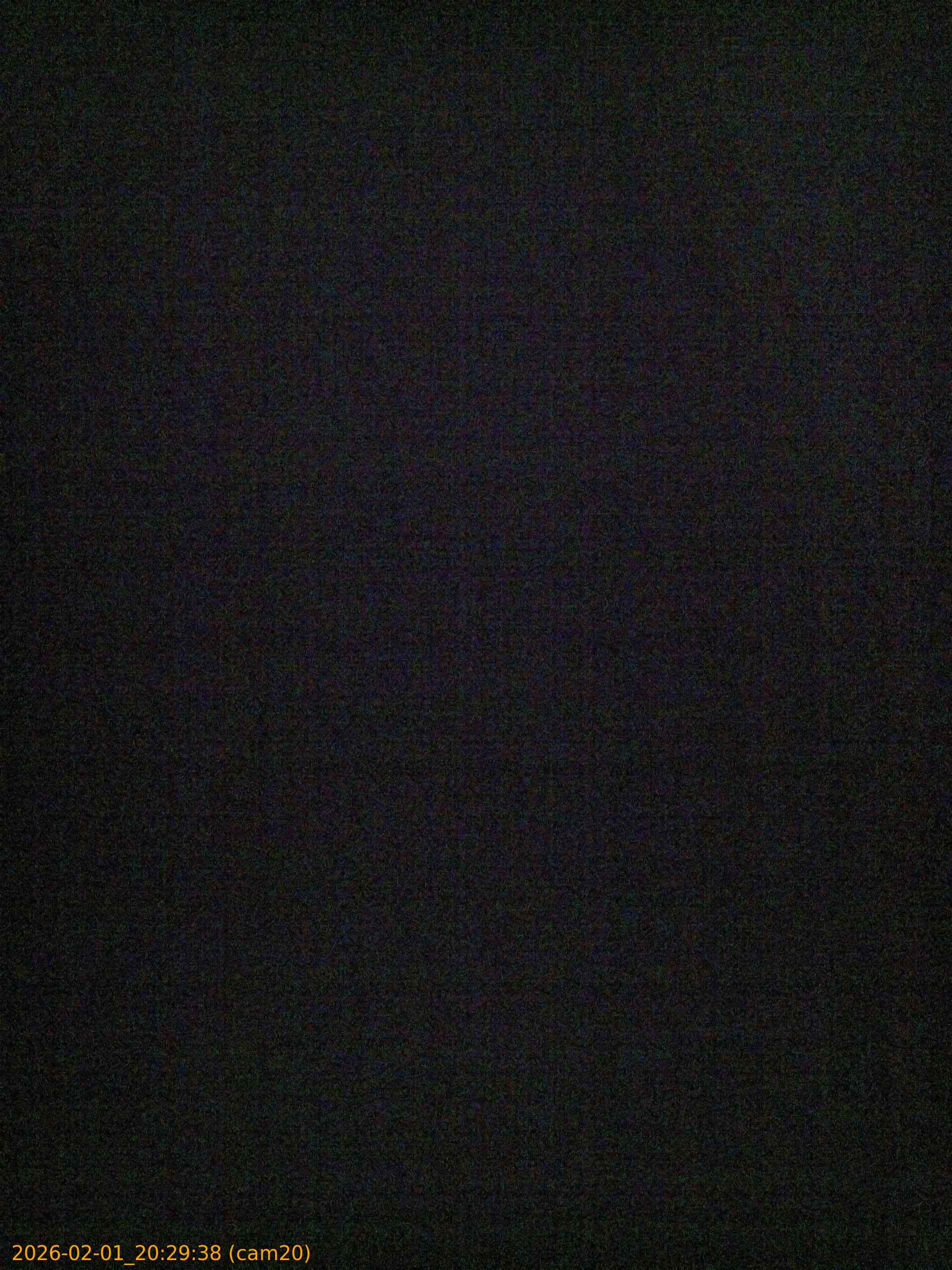 thumbnail_20260201202938