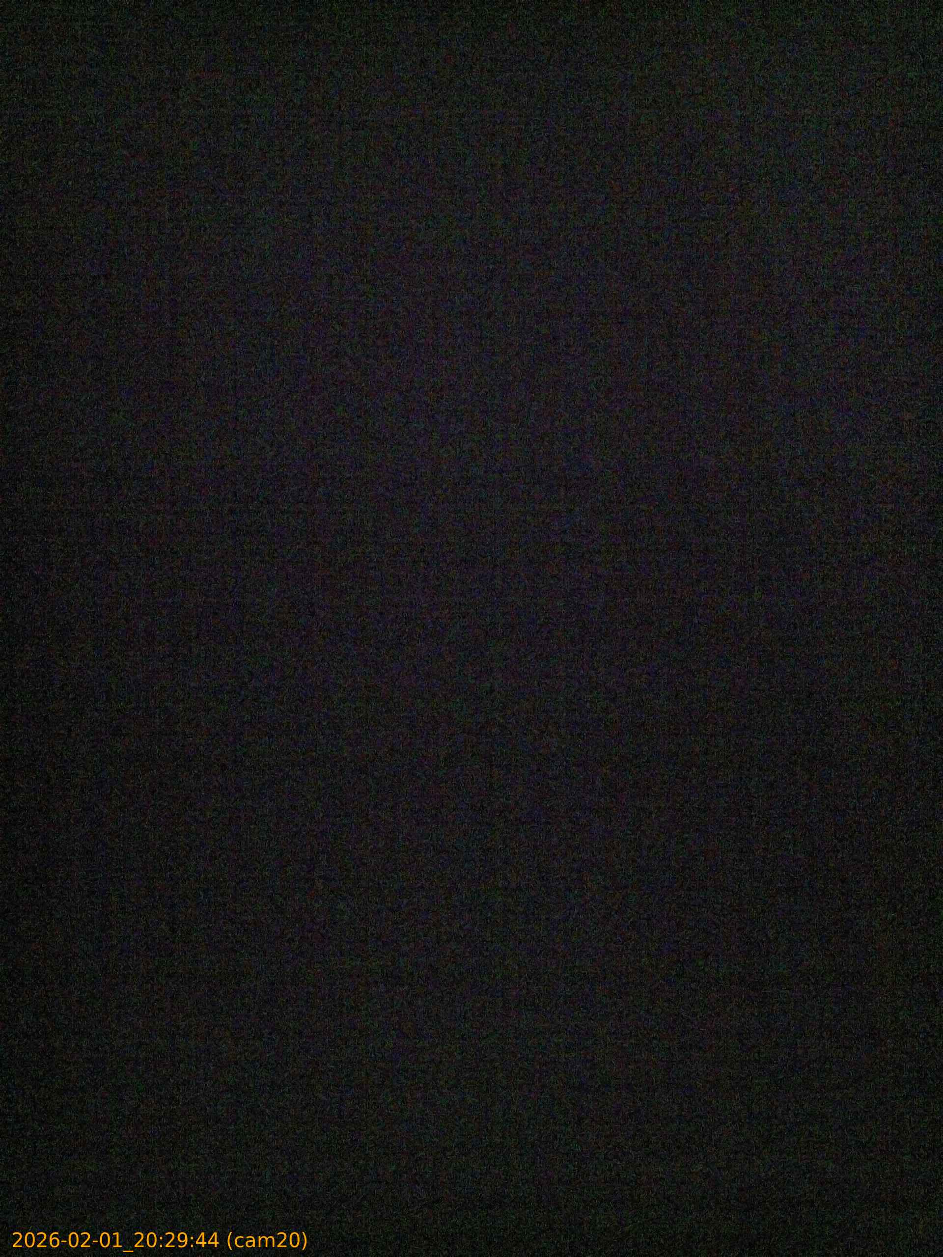 thumbnail_20260201202944