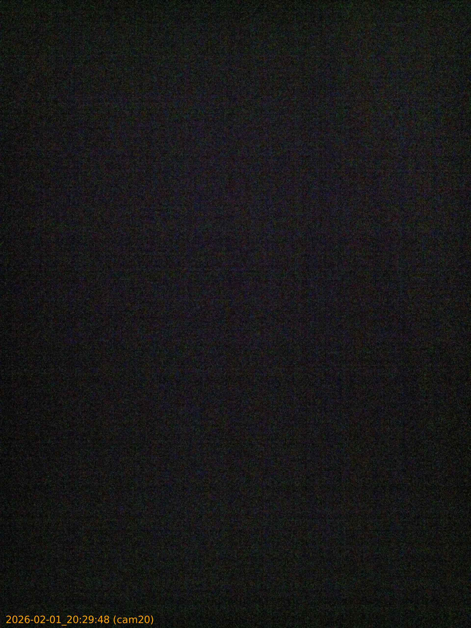 thumbnail_20260201202948