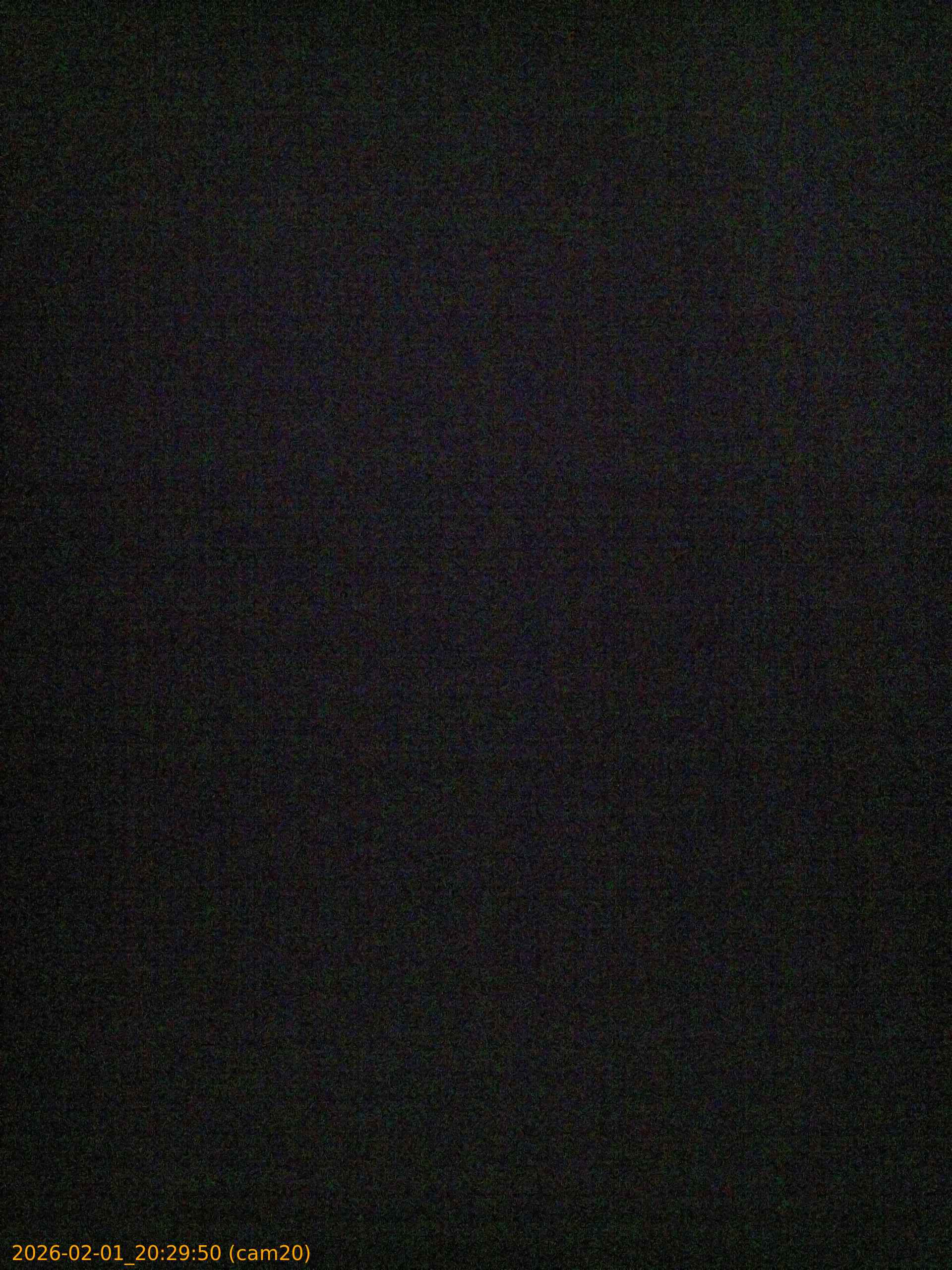 thumbnail_20260201202950