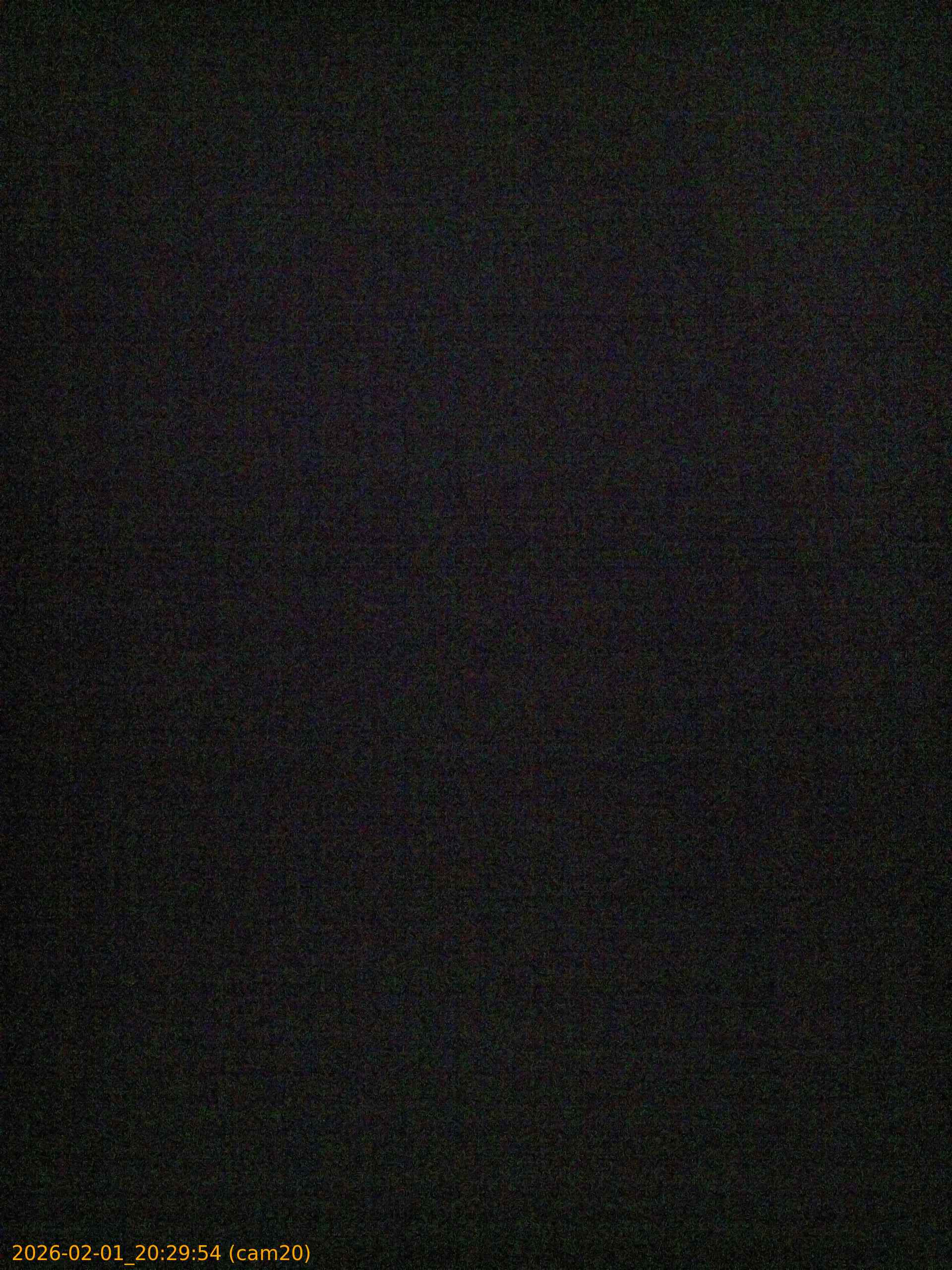 thumbnail_20260201202954