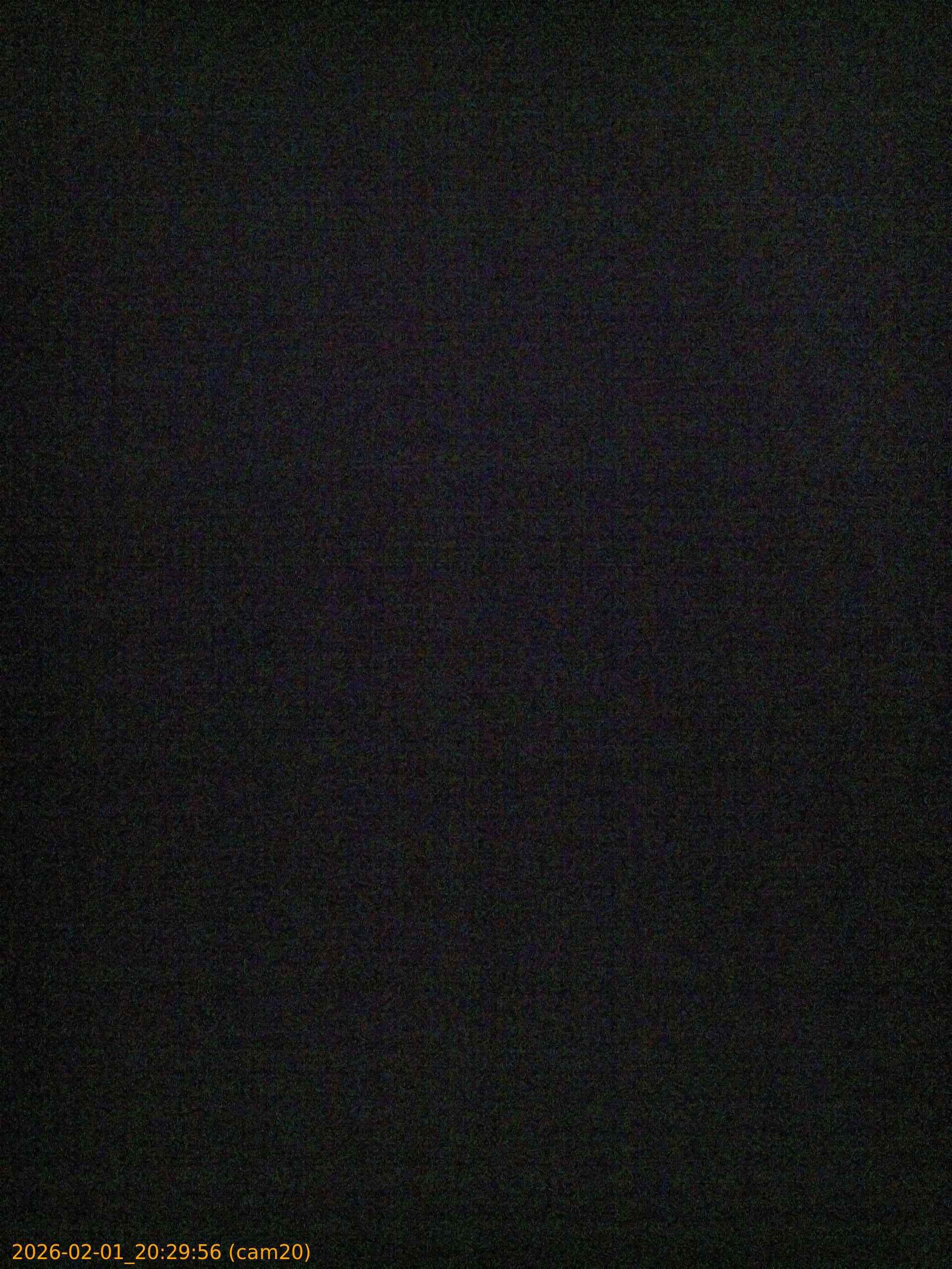 thumbnail_20260201202956