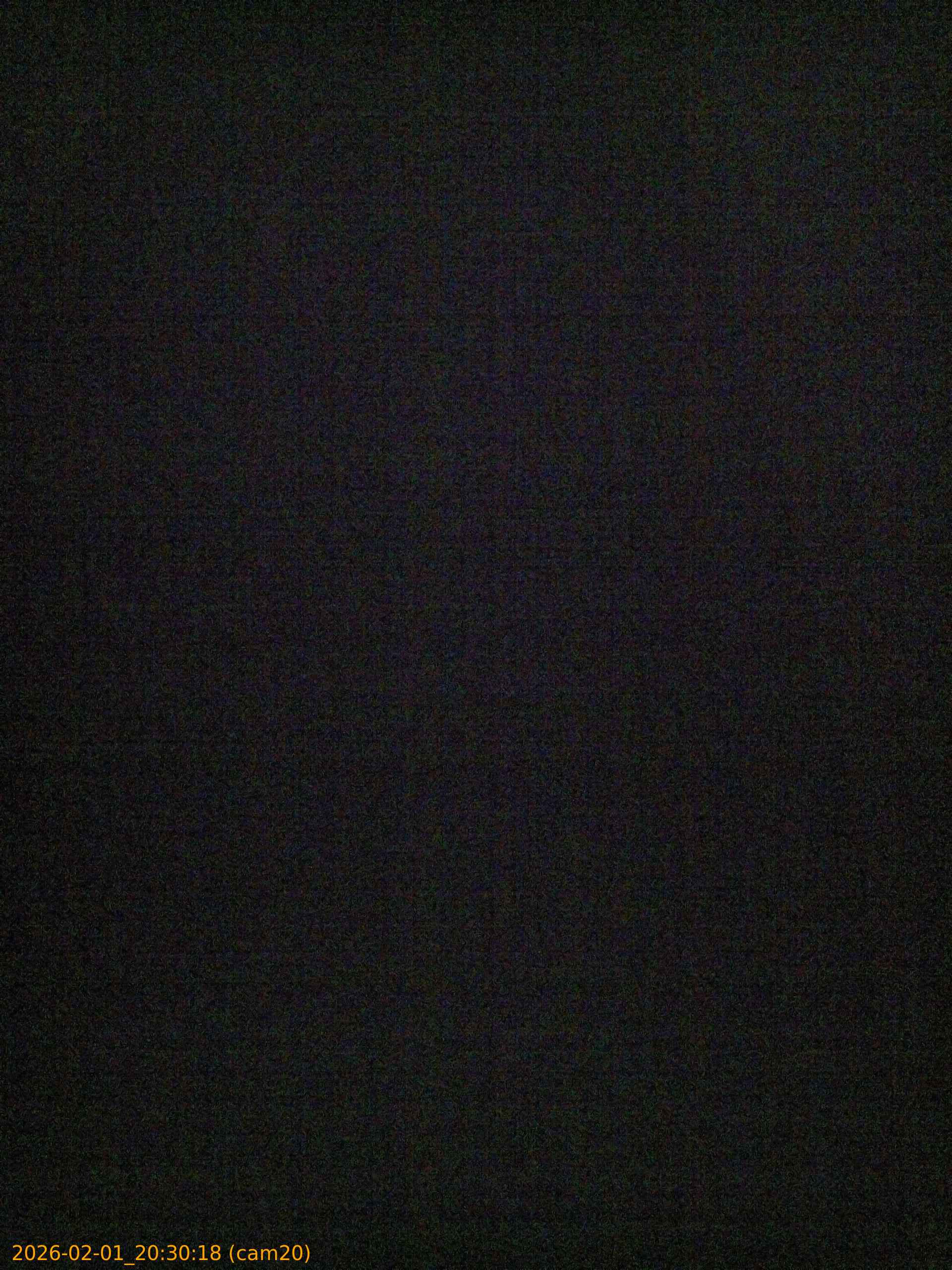 thumbnail_20260201203018