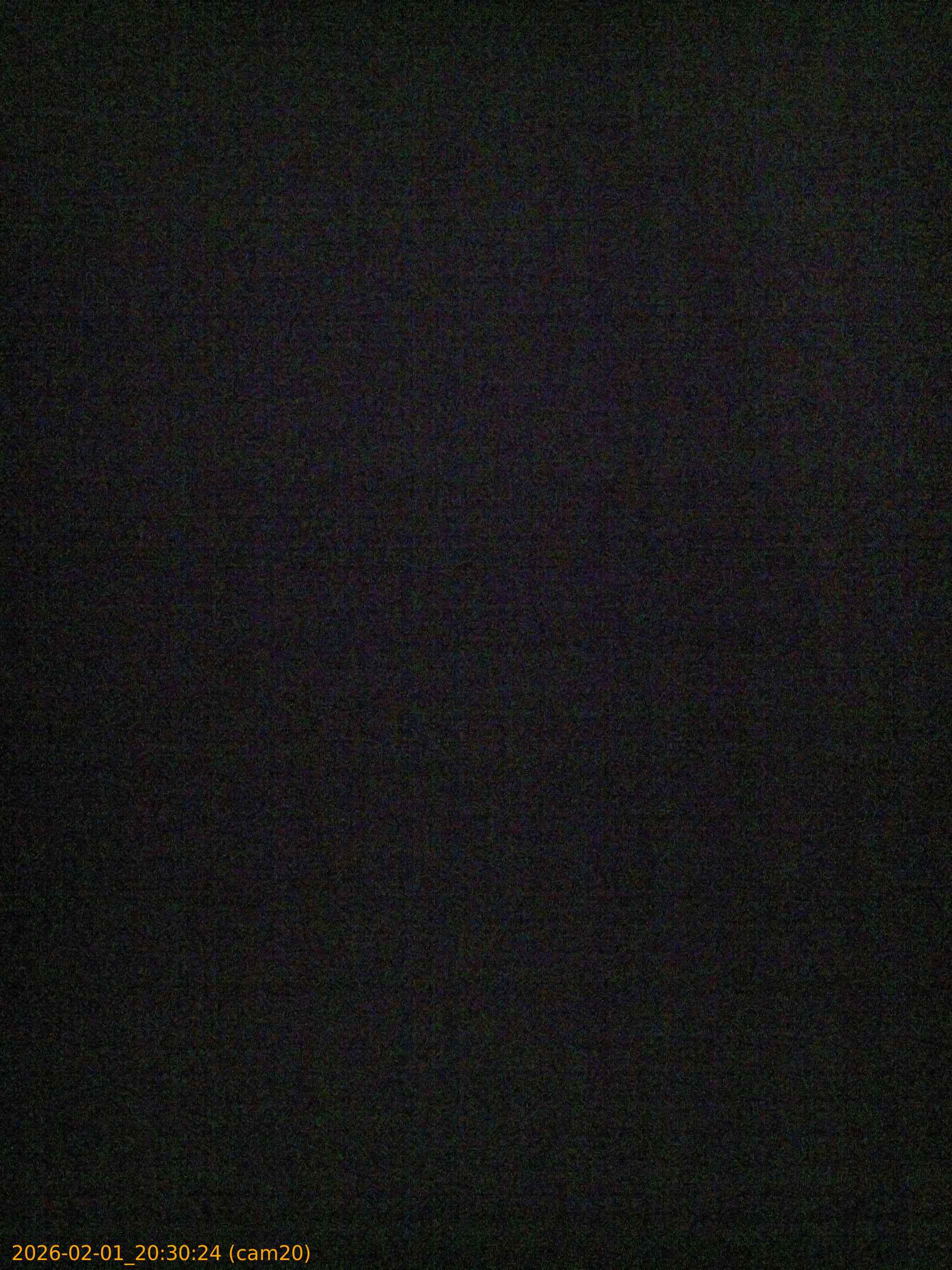 thumbnail_20260201203024