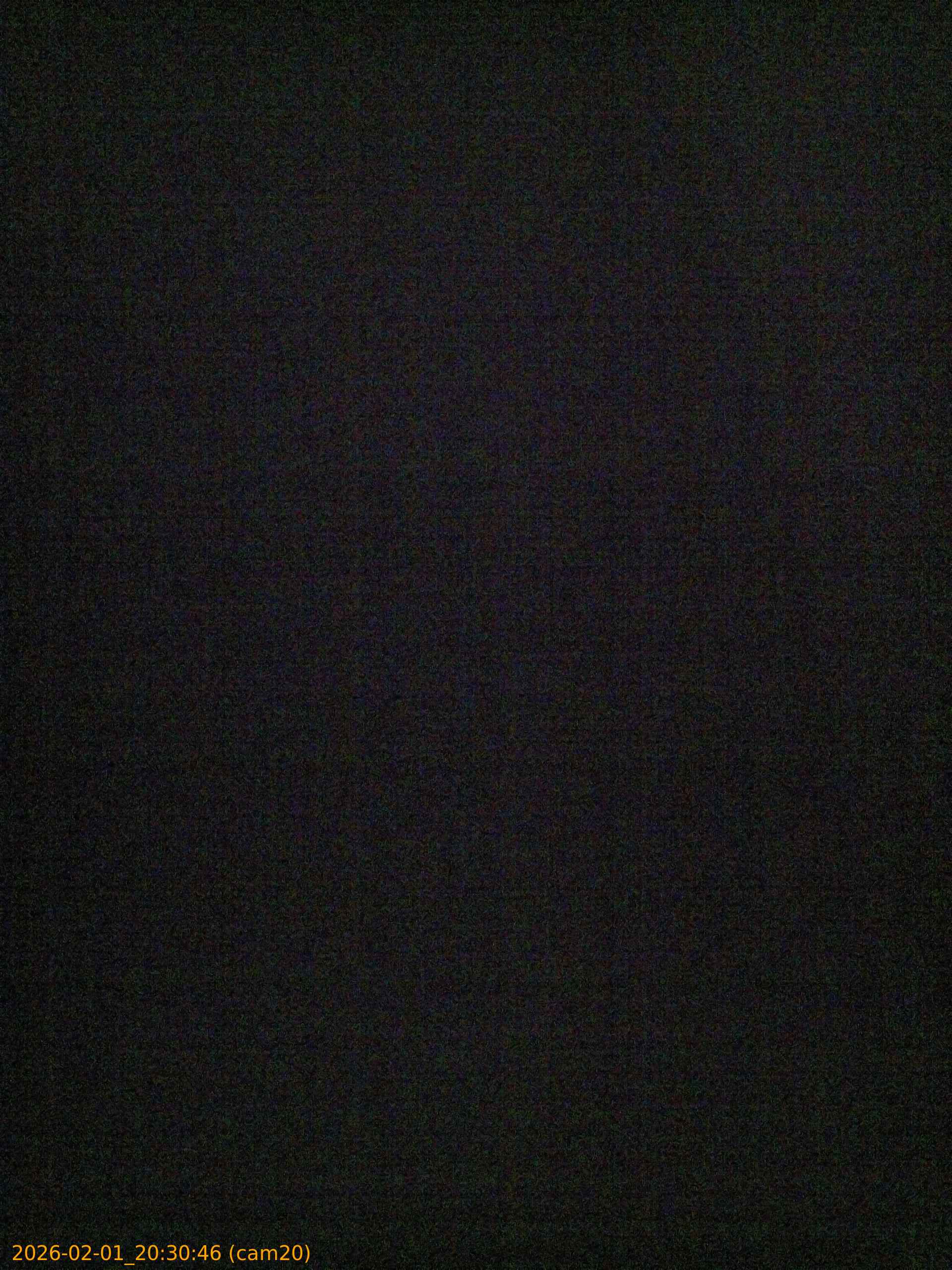 thumbnail_20260201203046