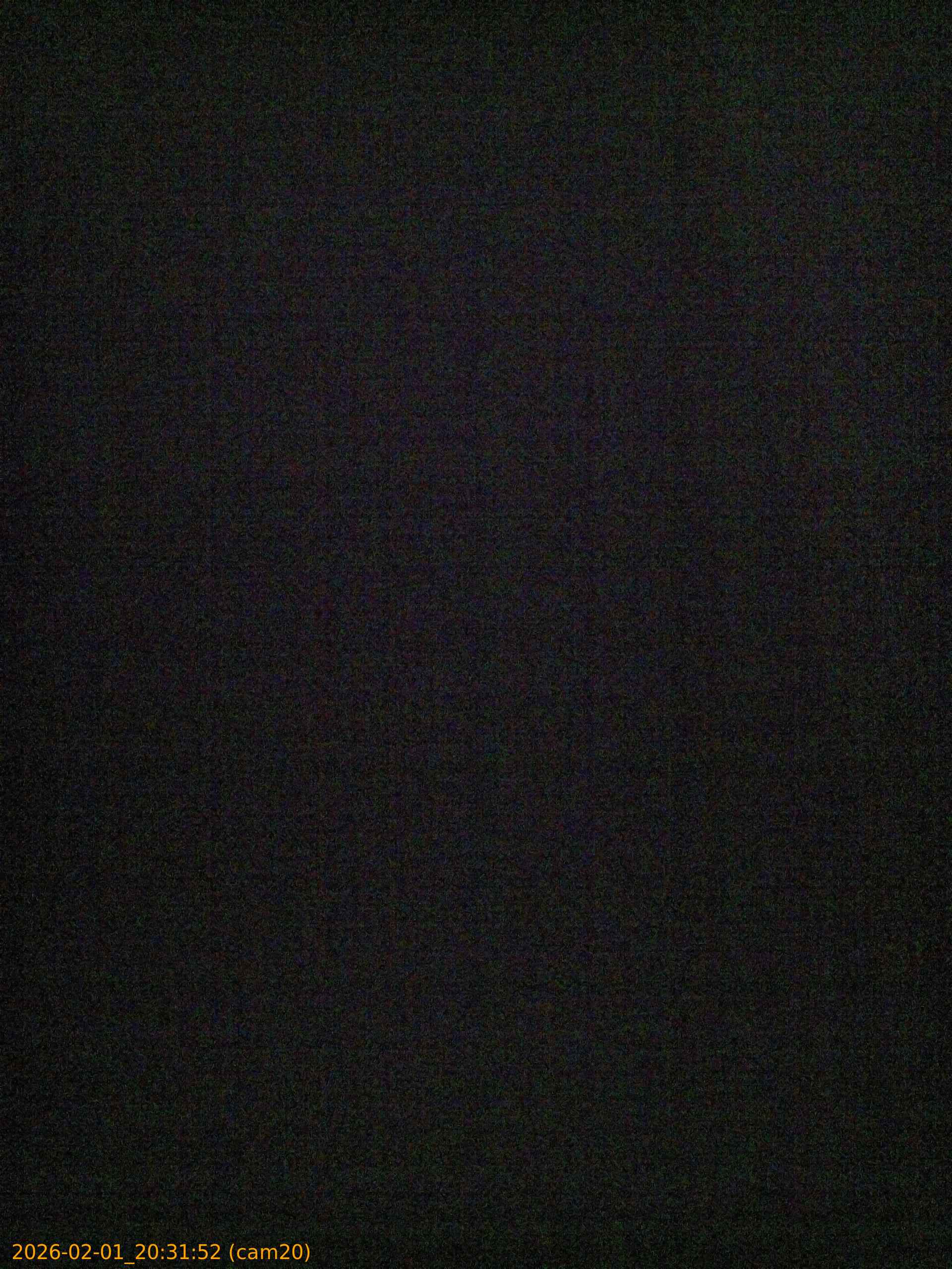 20260201203152