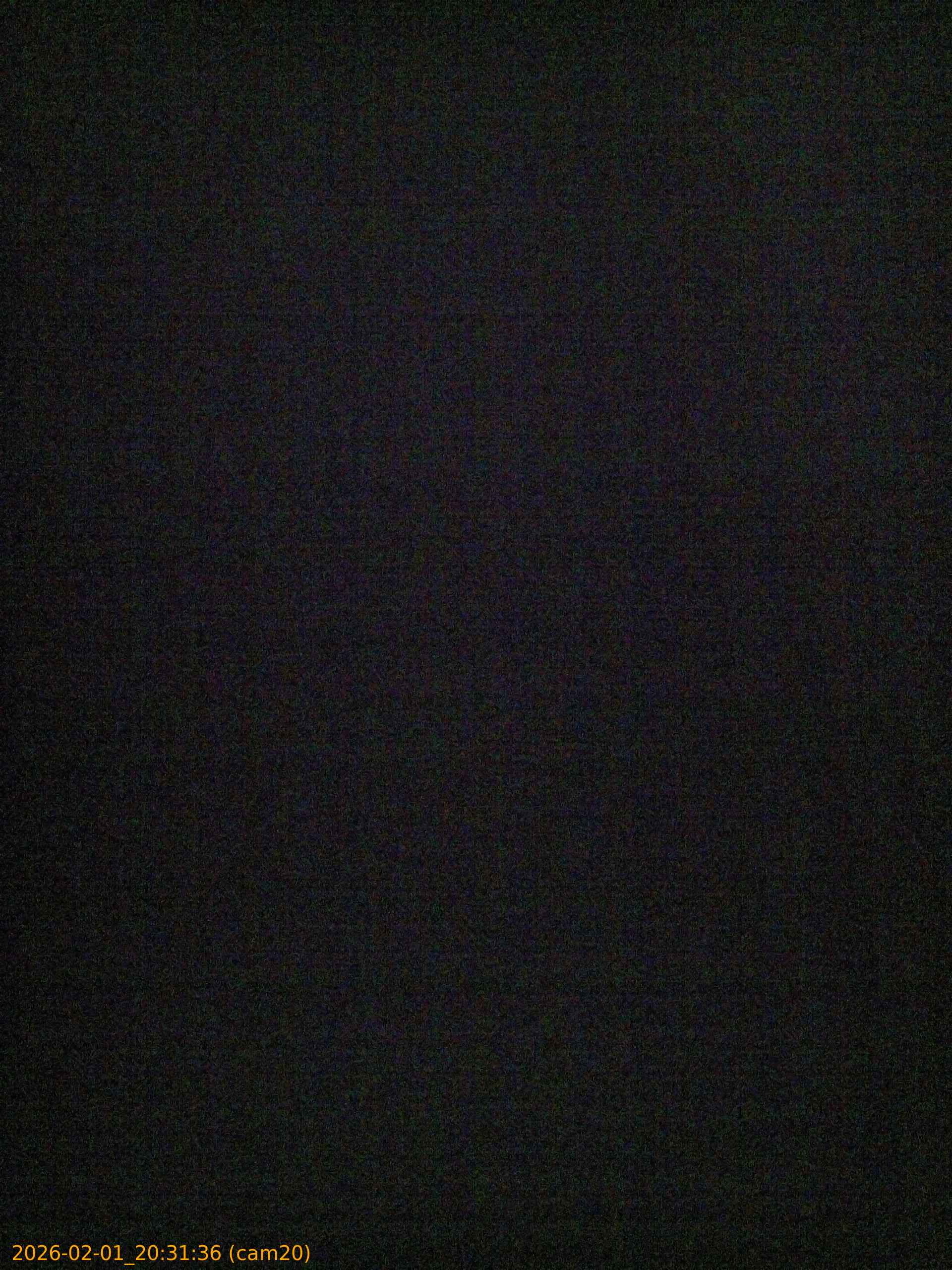 thumbnail_20260201203136