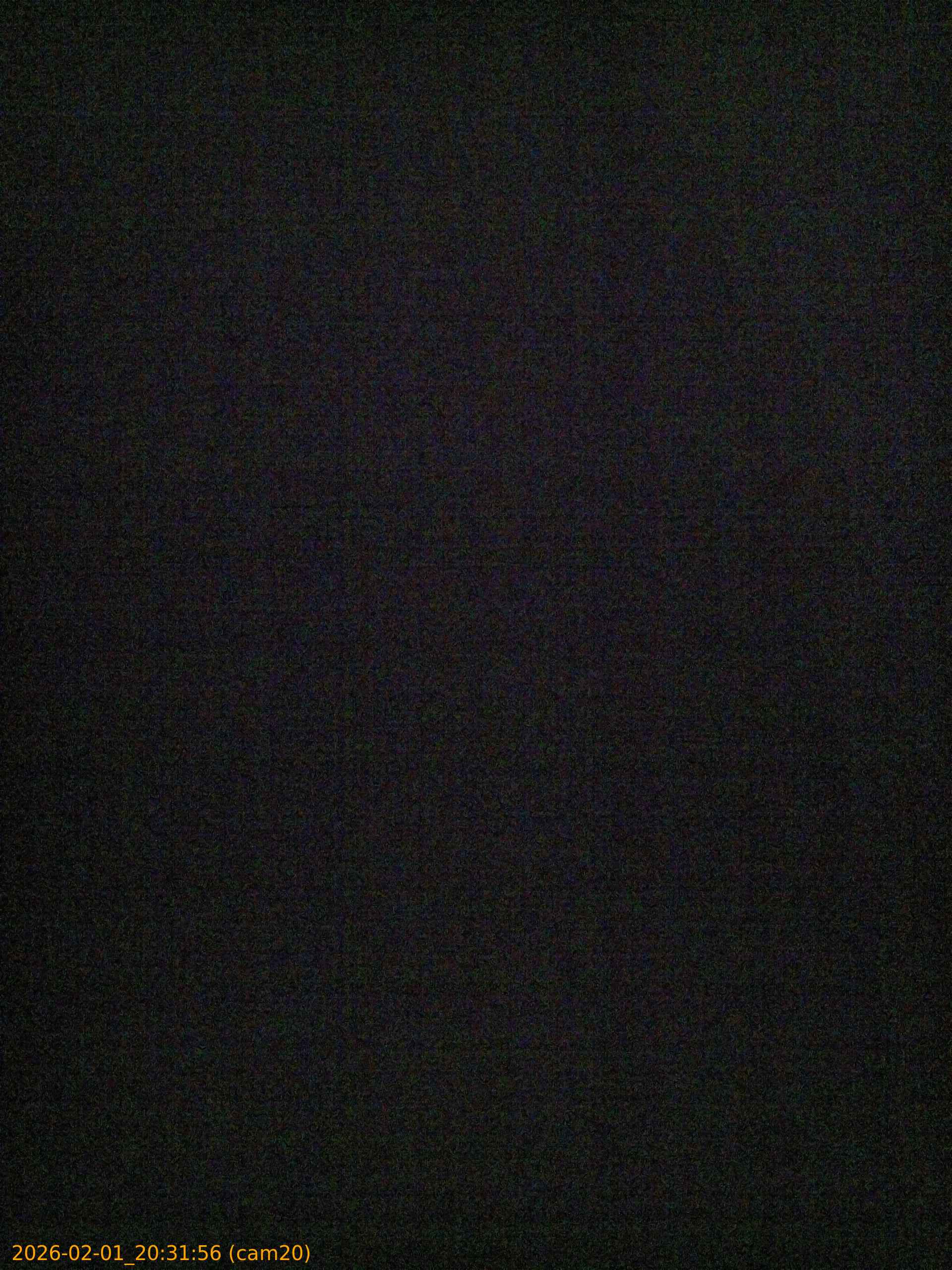 thumbnail_20260201203156