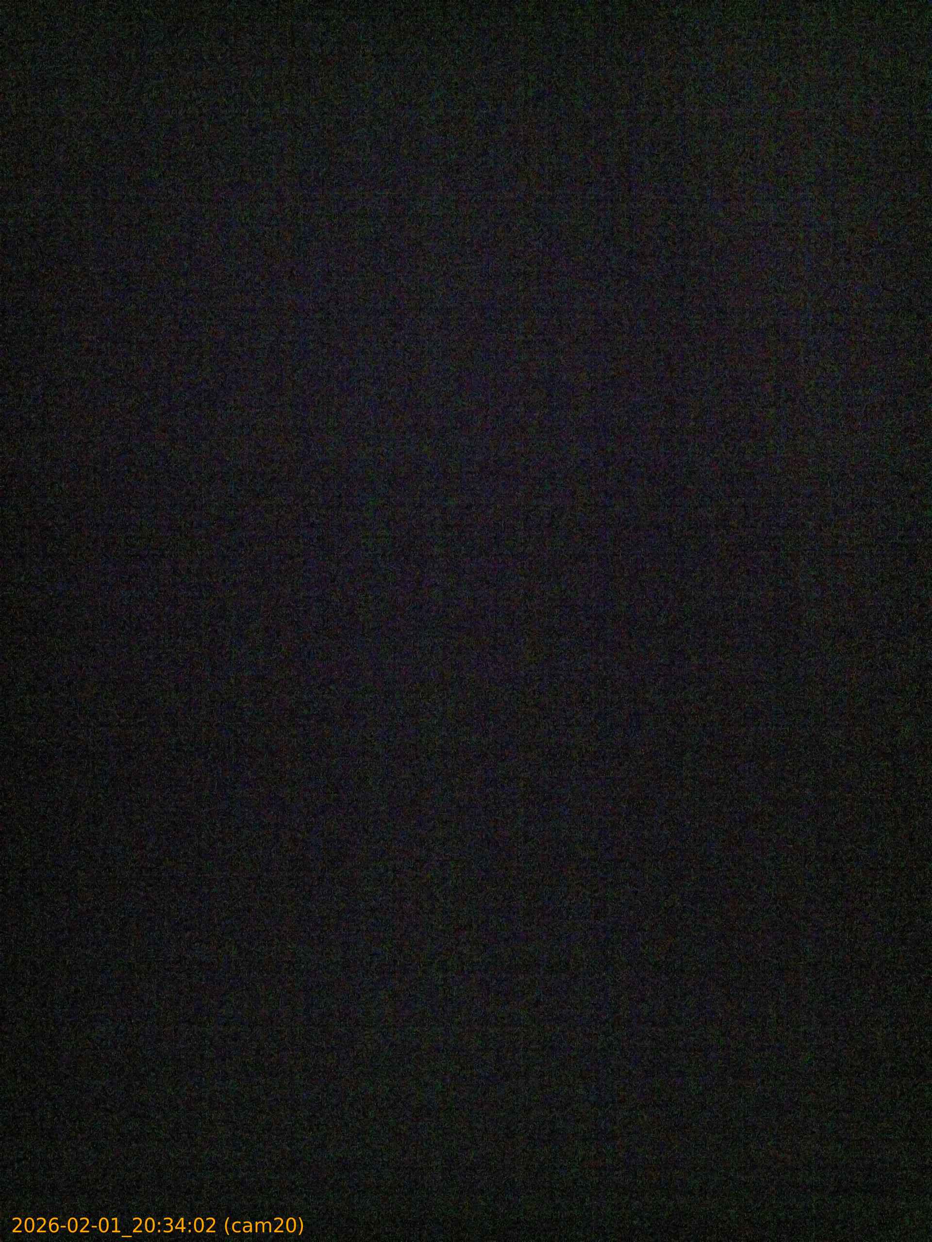 thumbnail_20260201203402