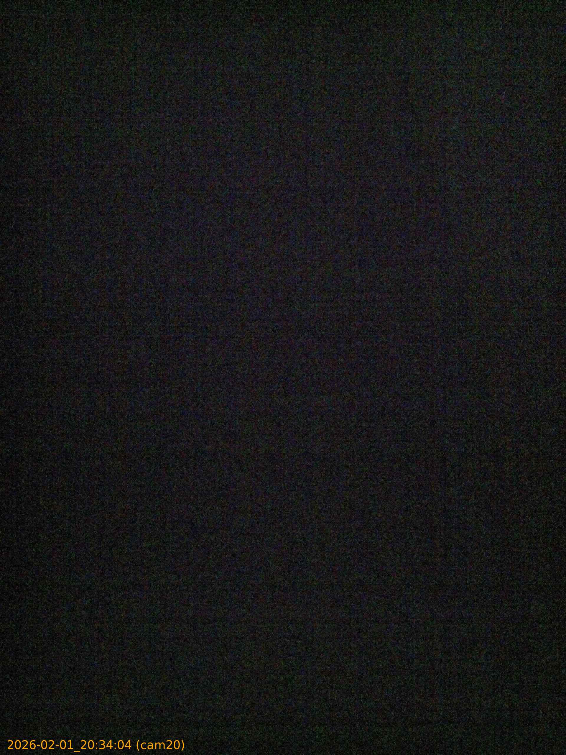 thumbnail_20260201203404