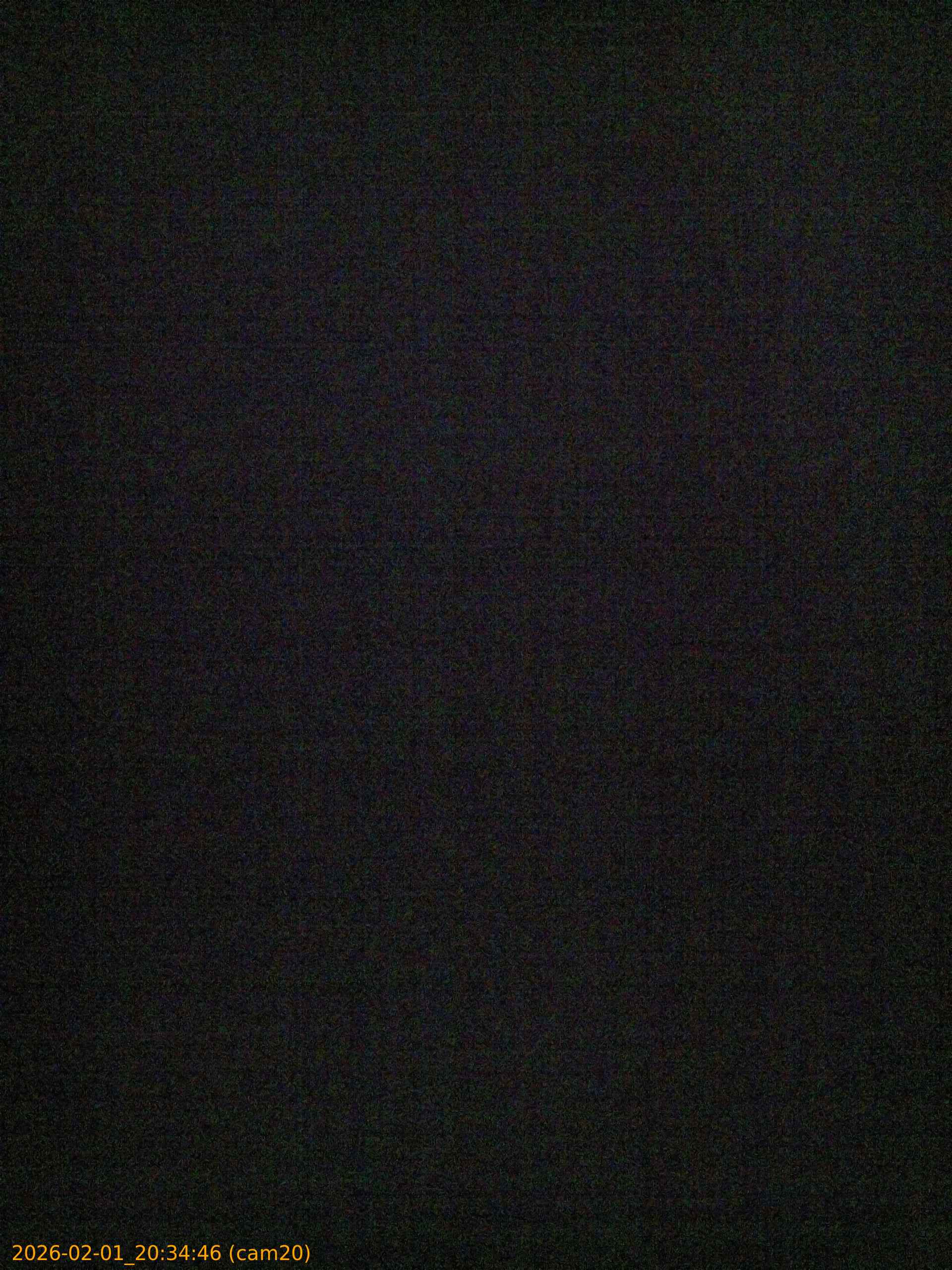 thumbnail_20260201203446