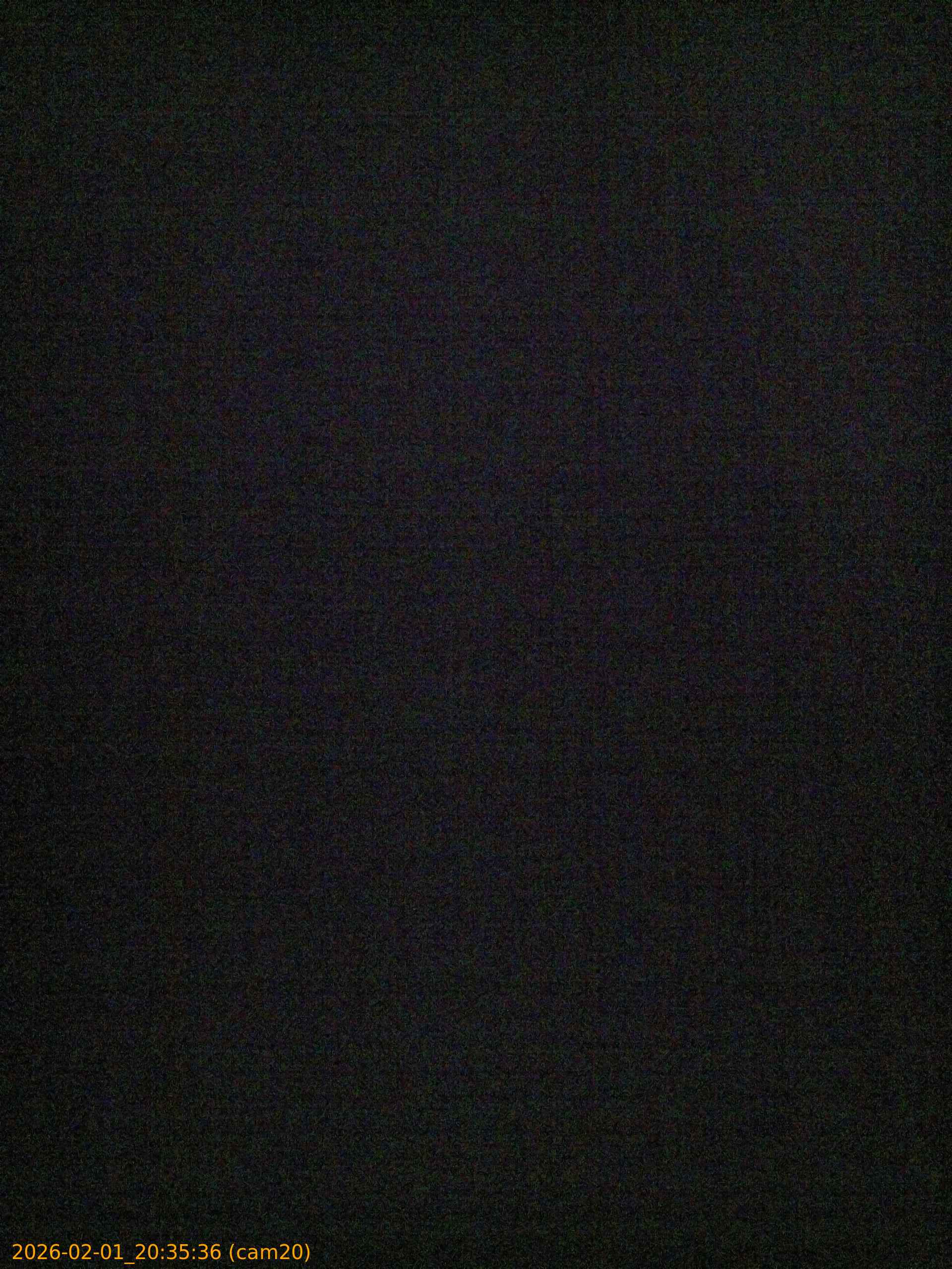 thumbnail_20260201203536