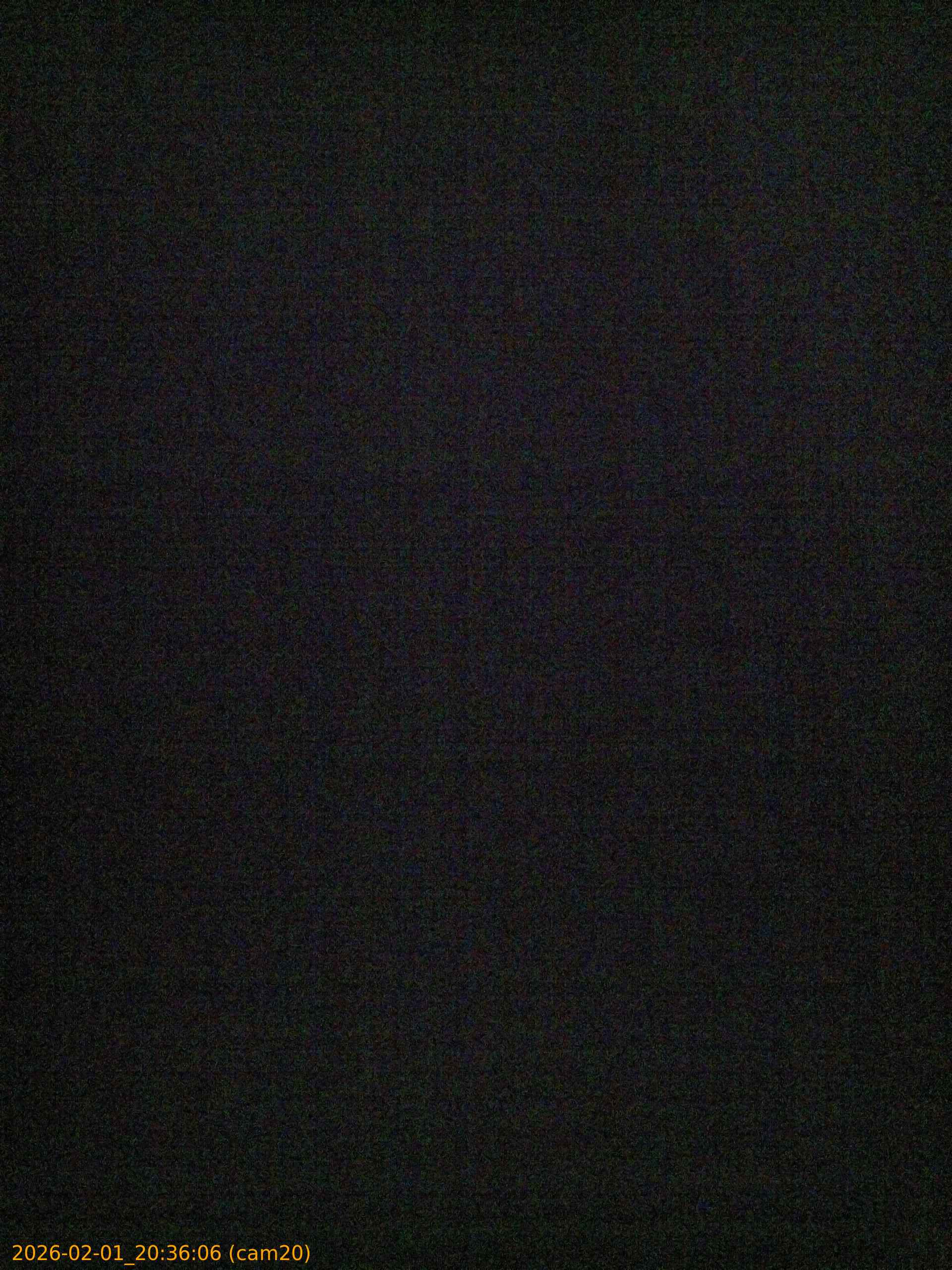 thumbnail_20260201203606