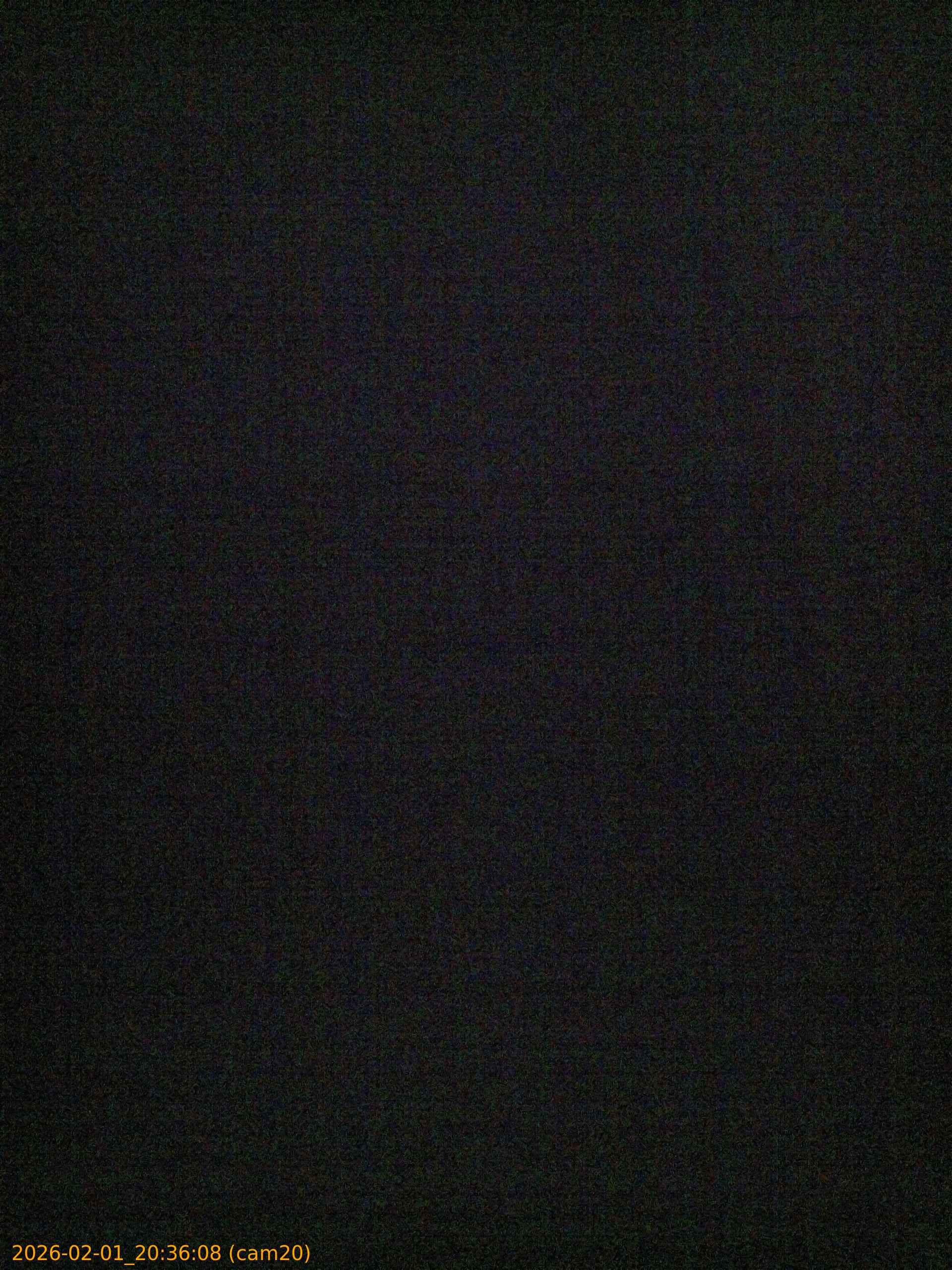 thumbnail_20260201203608