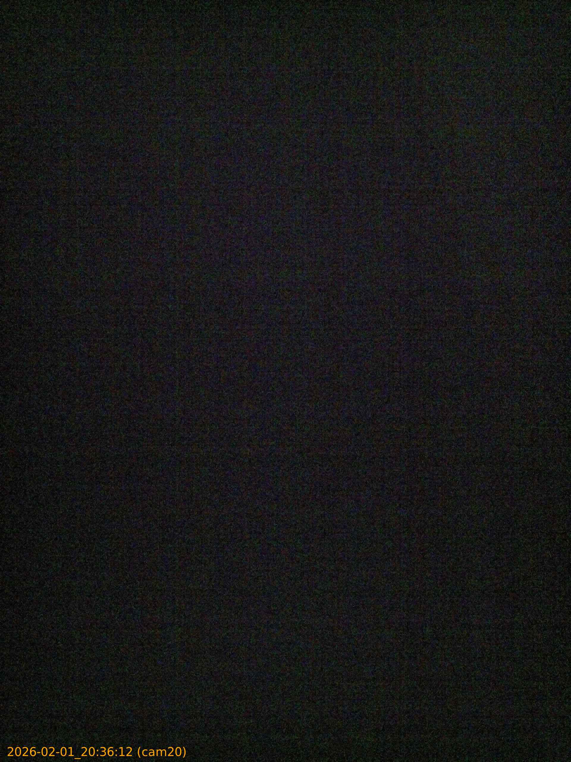 thumbnail_20260201203612