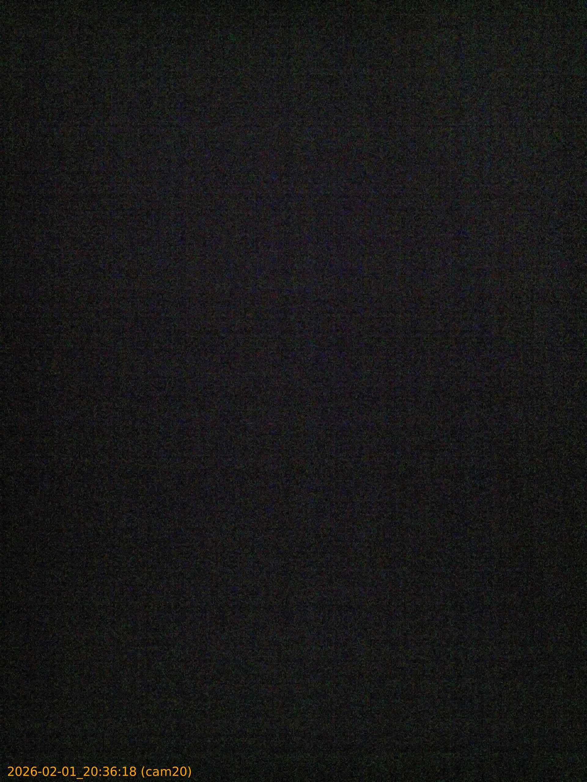 thumbnail_20260201203618