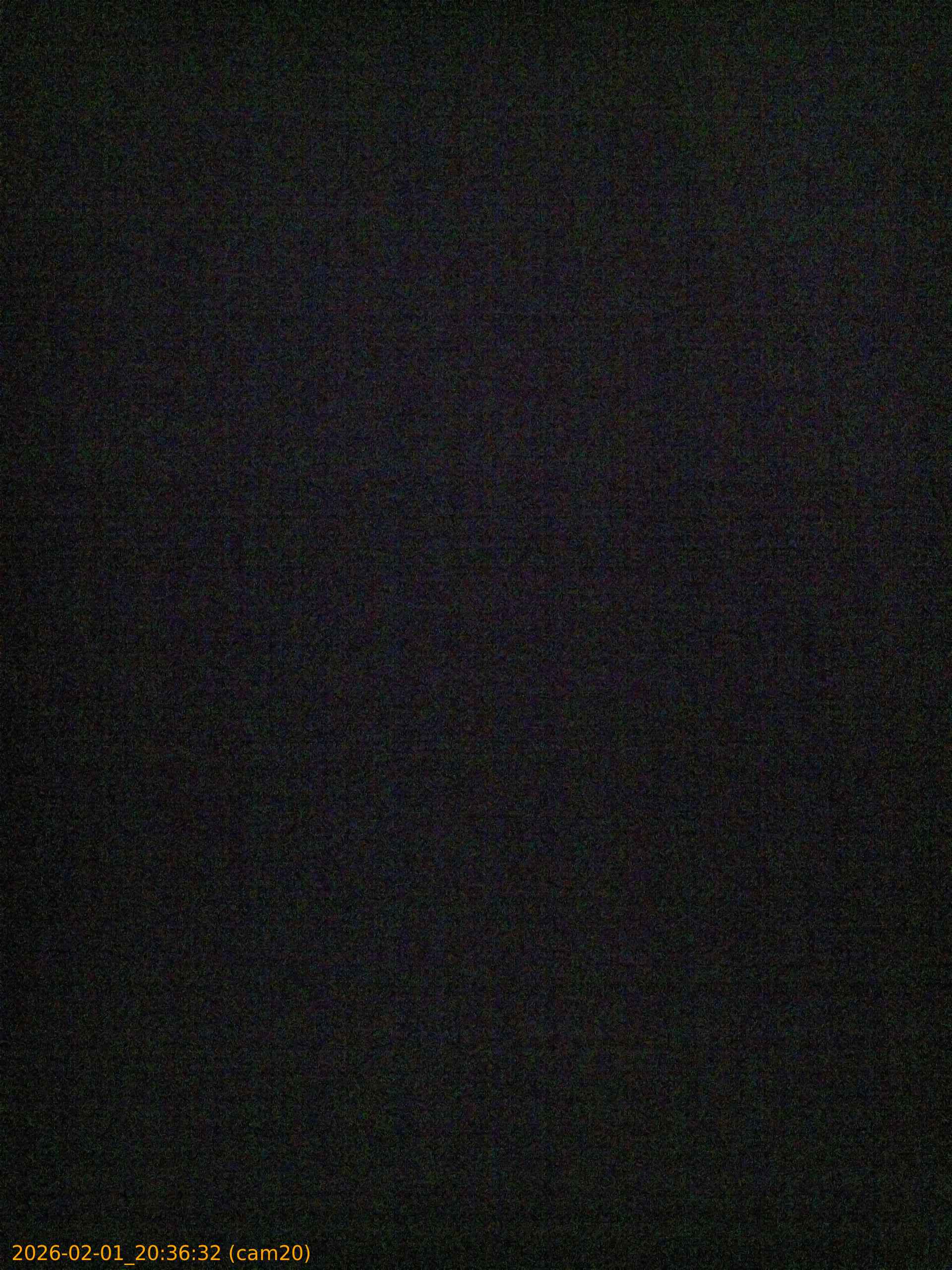 thumbnail_20260201203632