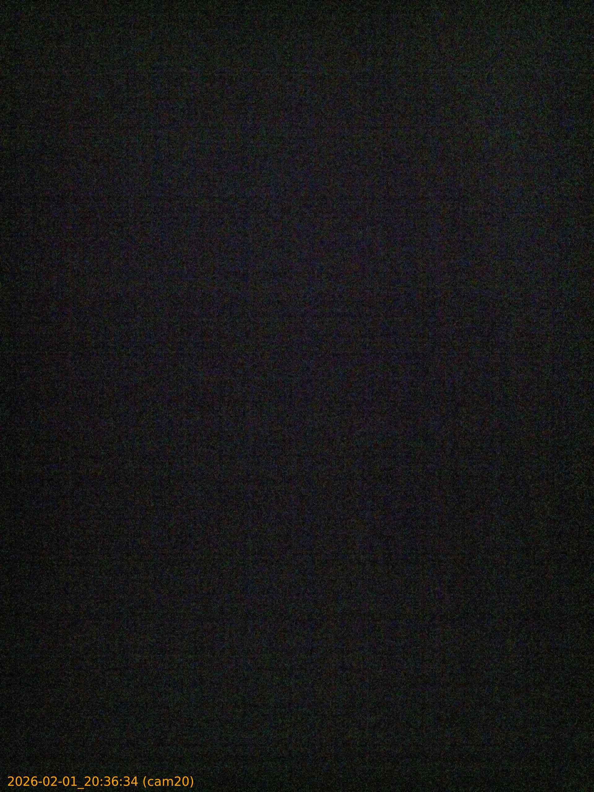 thumbnail_20260201203634