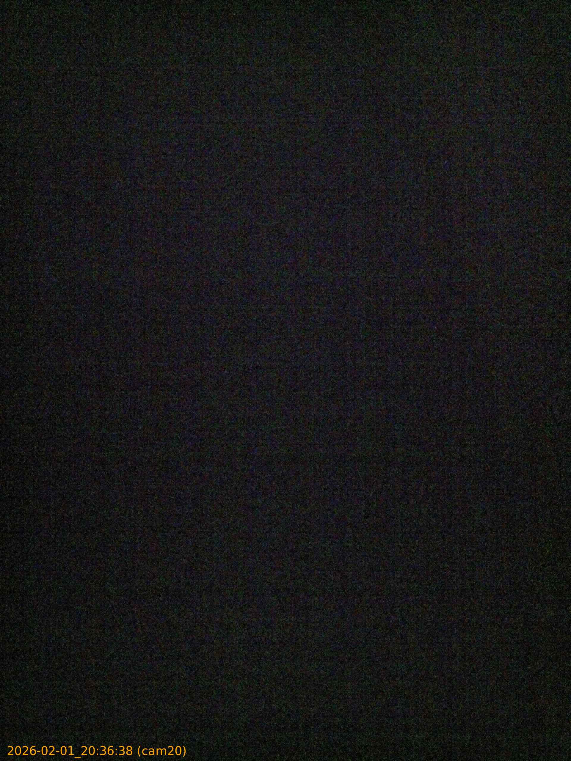 thumbnail_20260201203638