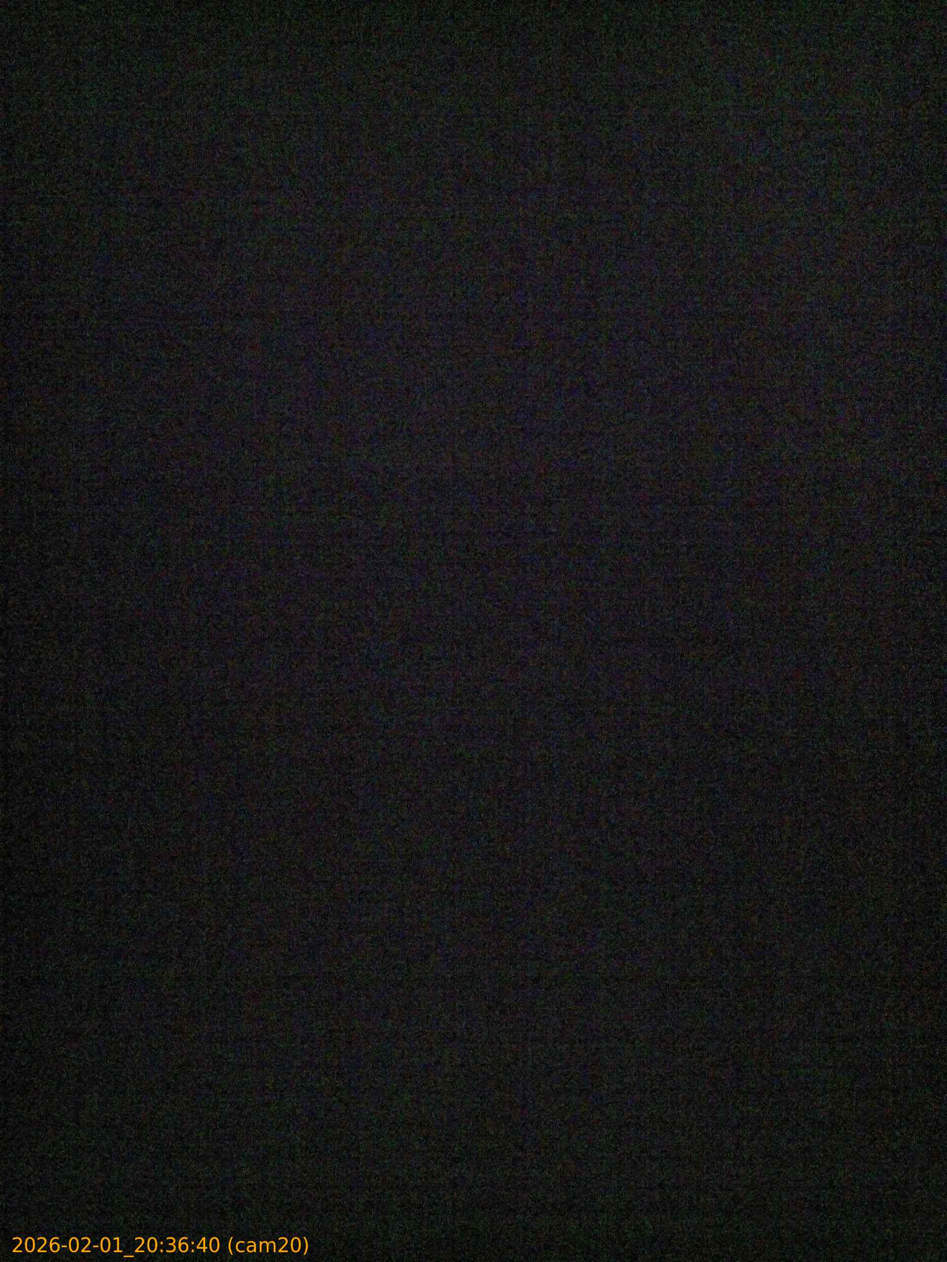 thumbnail_20260201203640