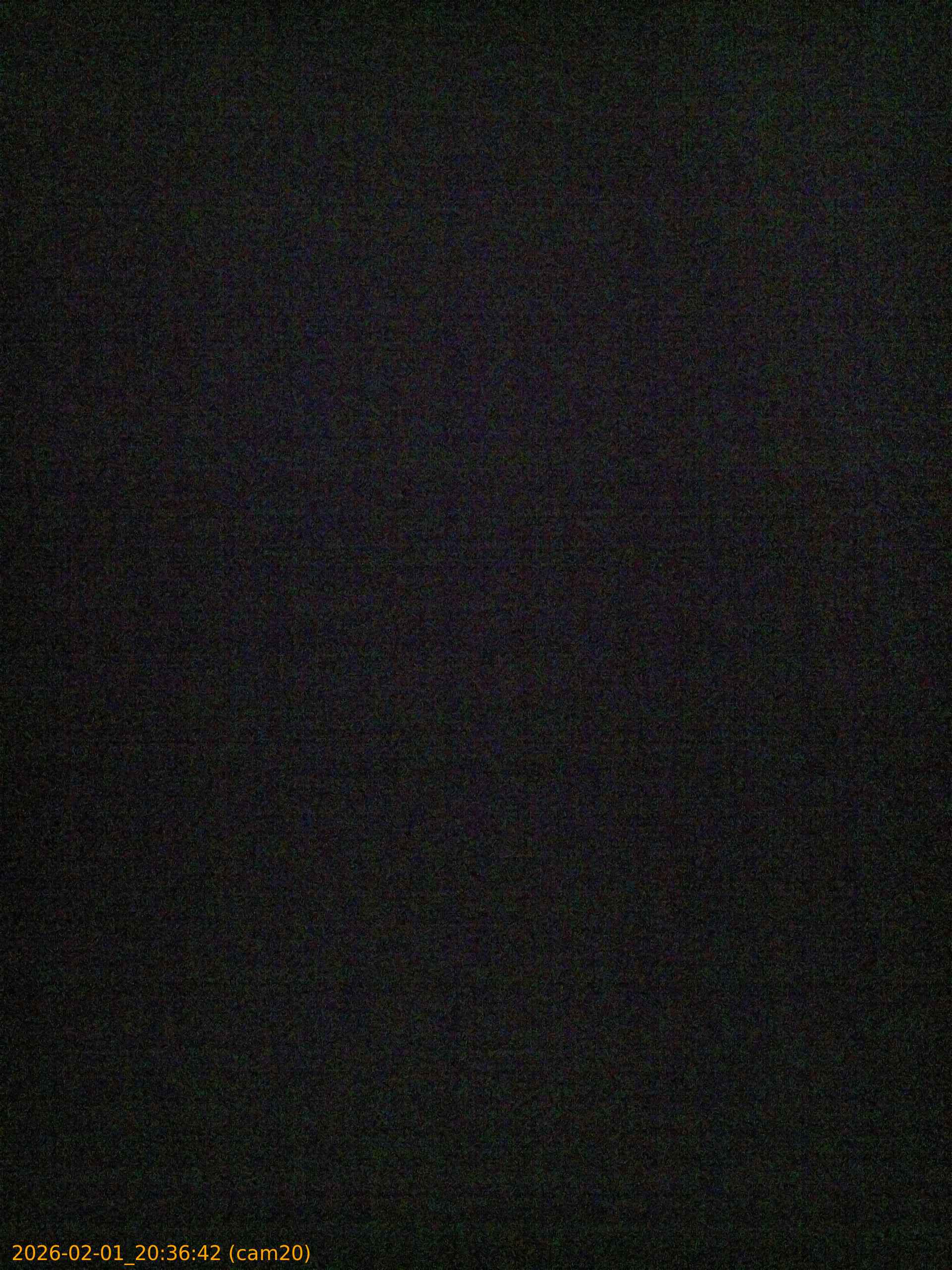 thumbnail_20260201203642