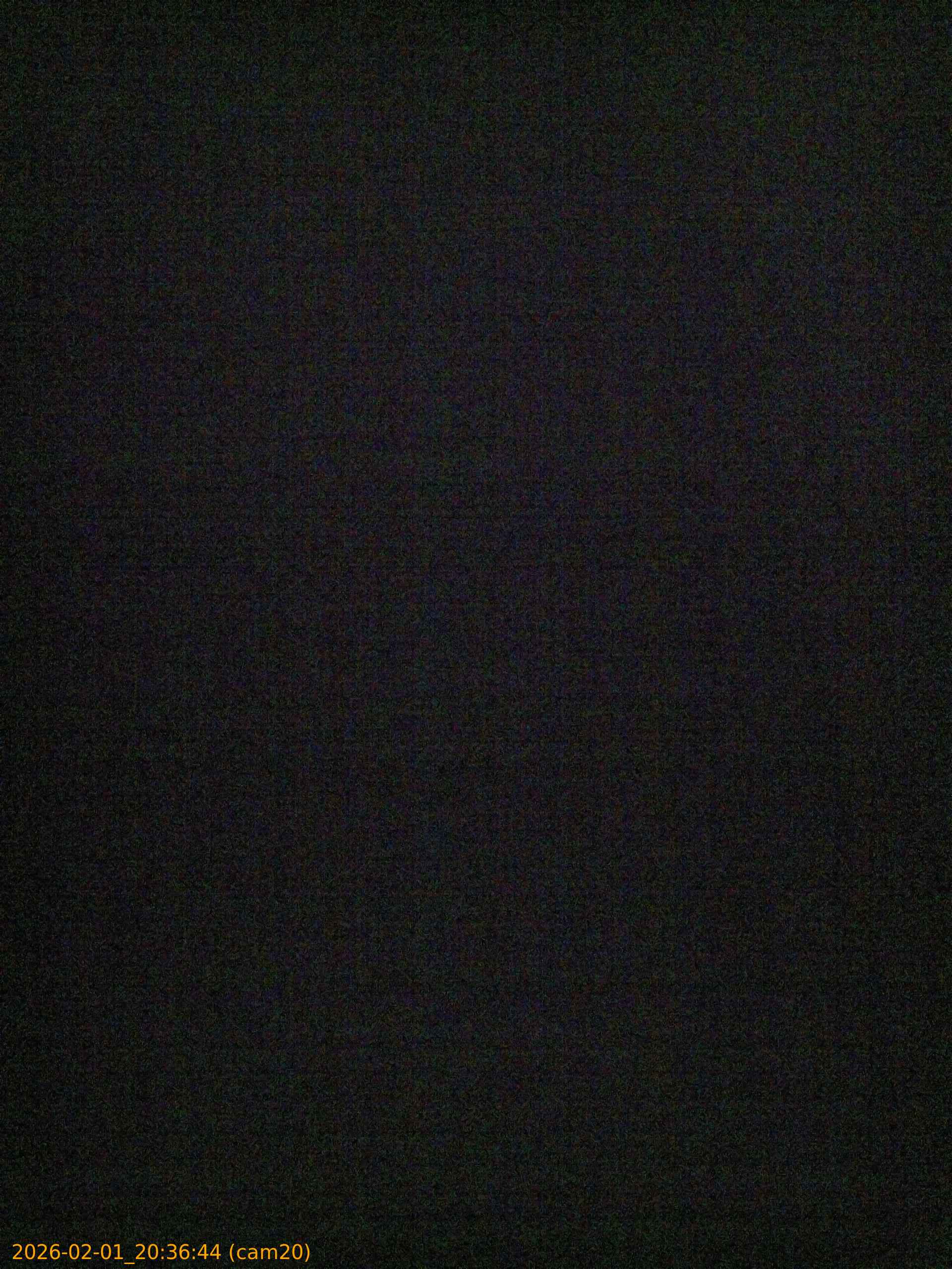 thumbnail_20260201203644