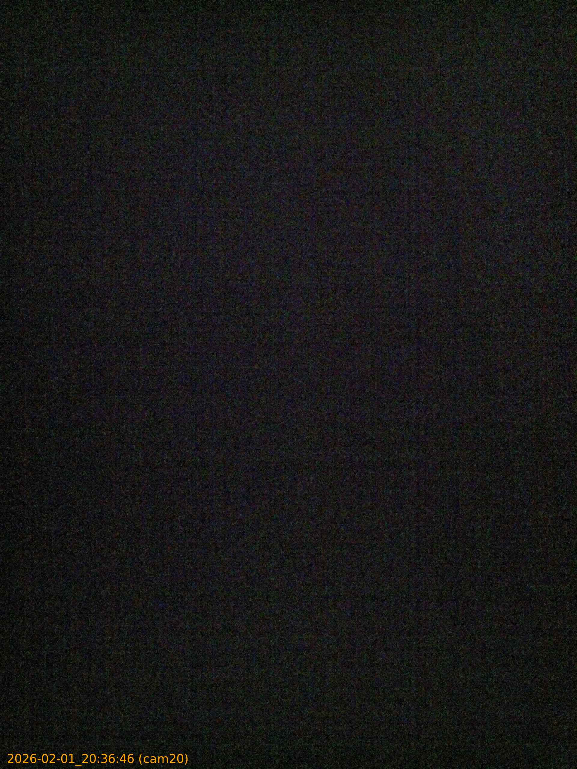 thumbnail_20260201203646