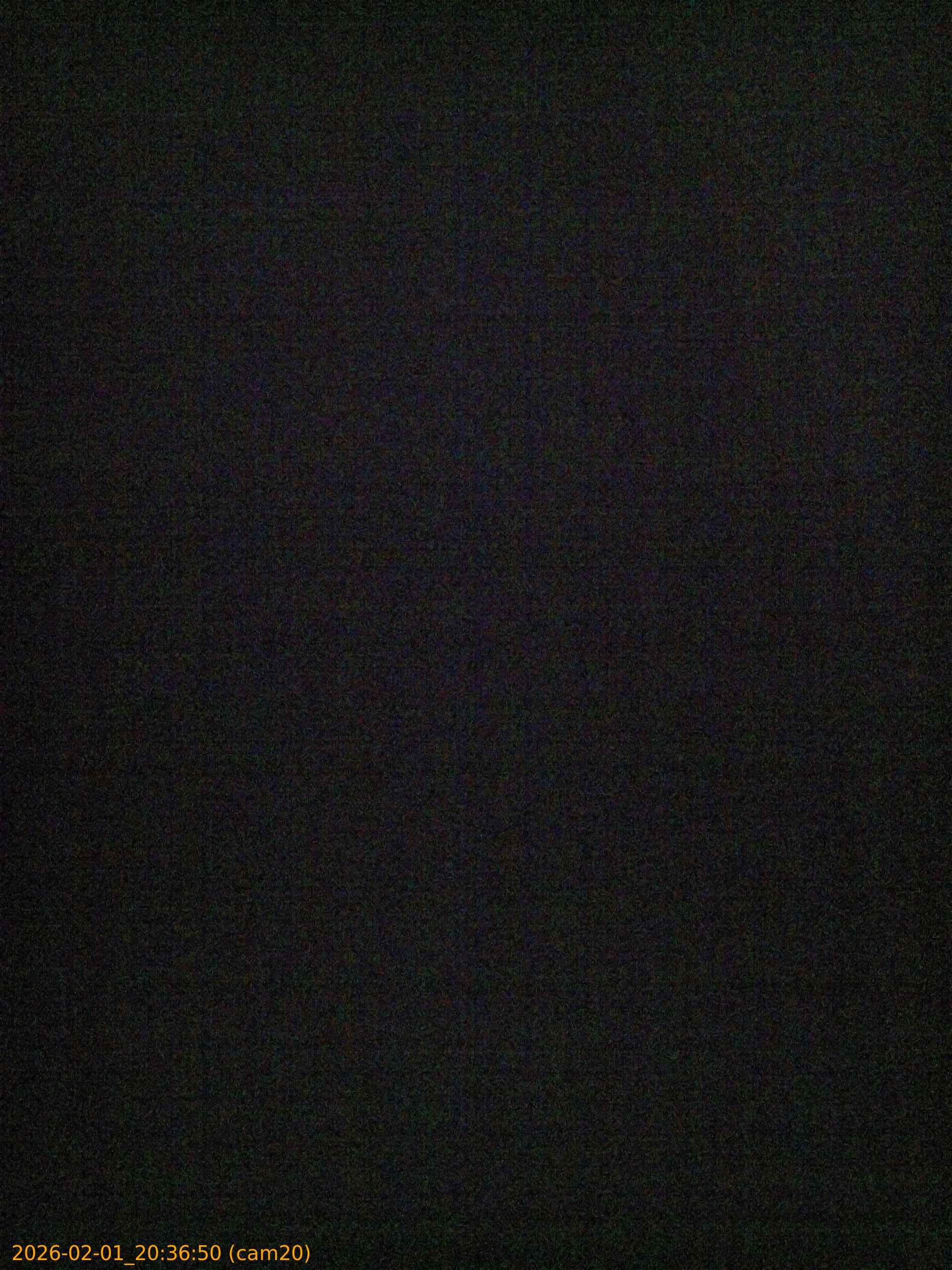 thumbnail_20260201203650