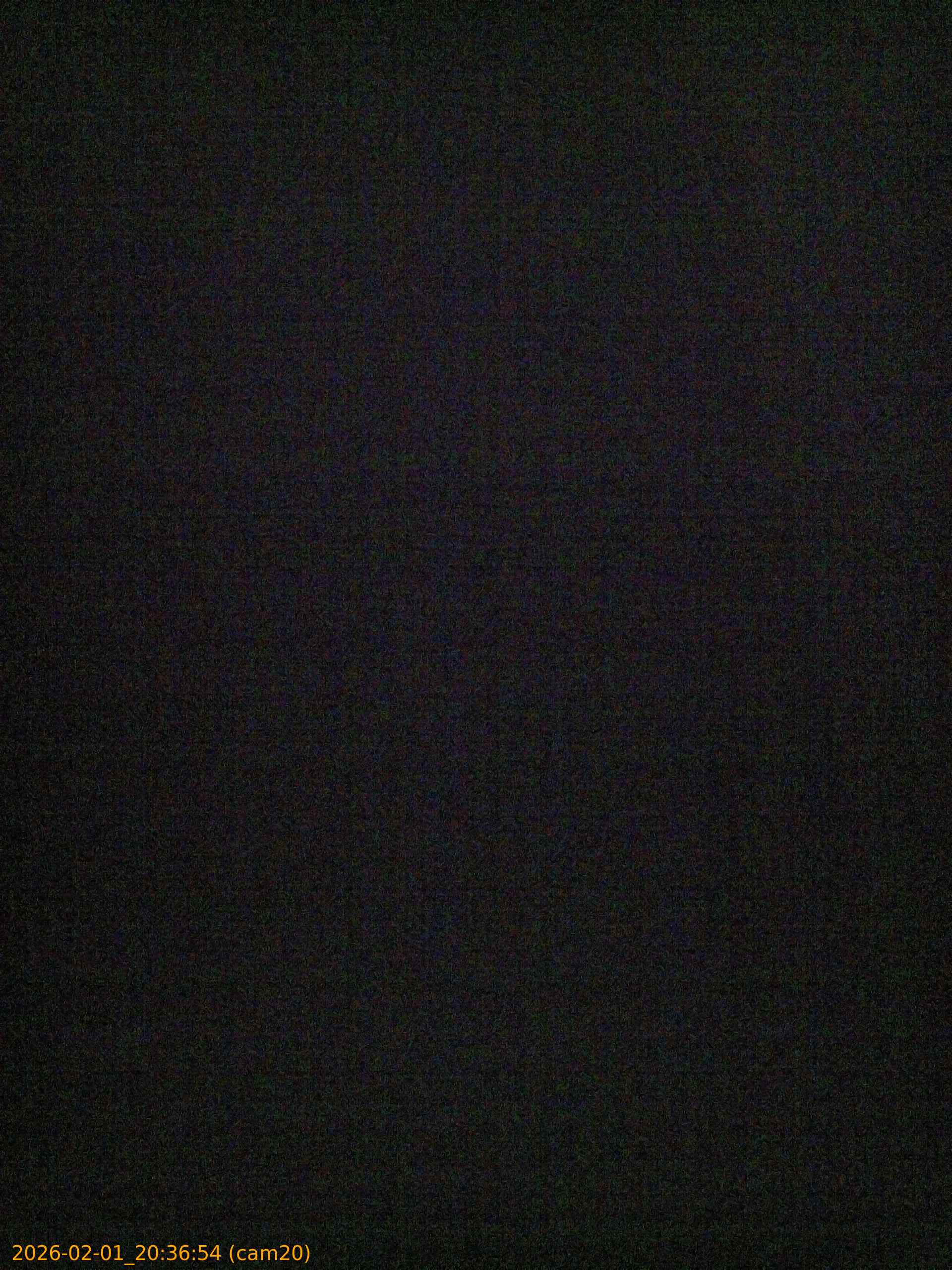 thumbnail_20260201203654