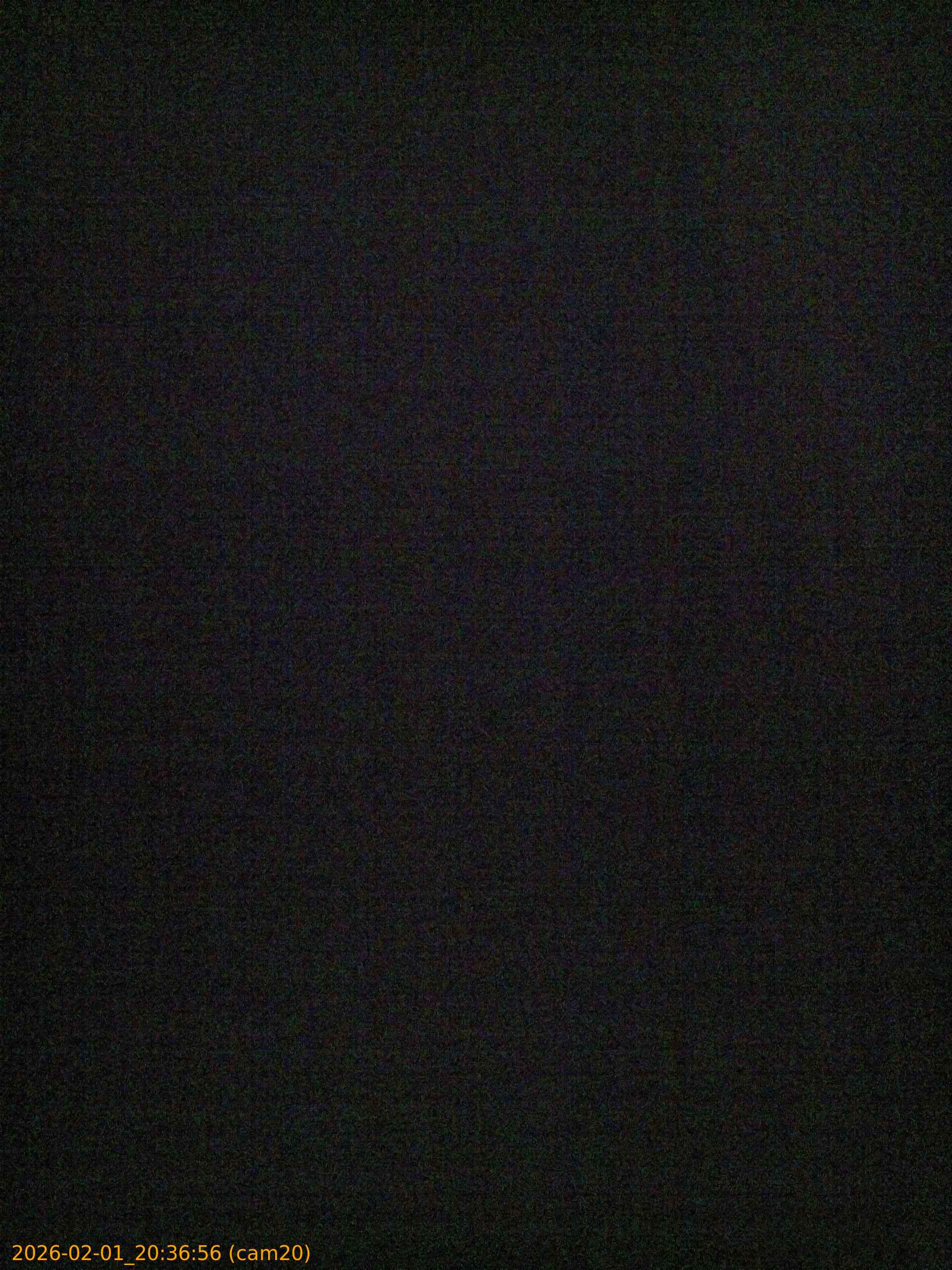 thumbnail_20260201203656