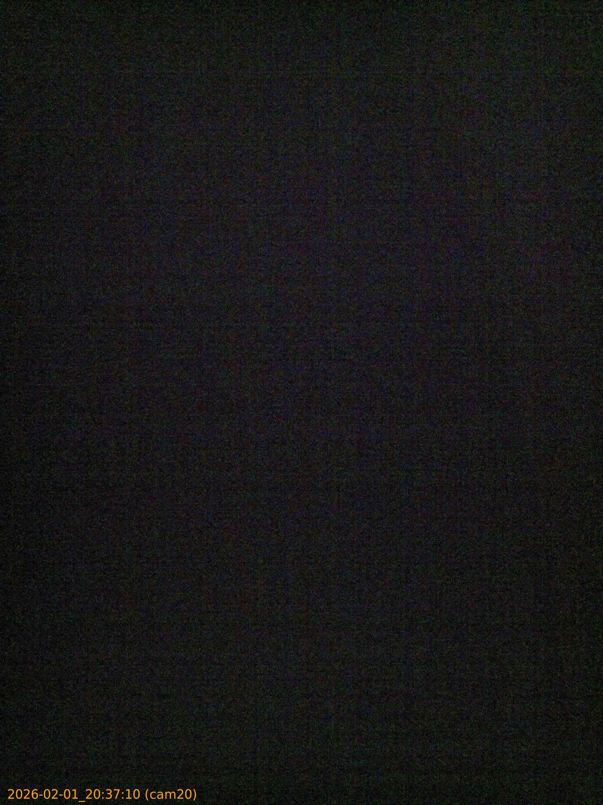 thumbnail_20260201203710