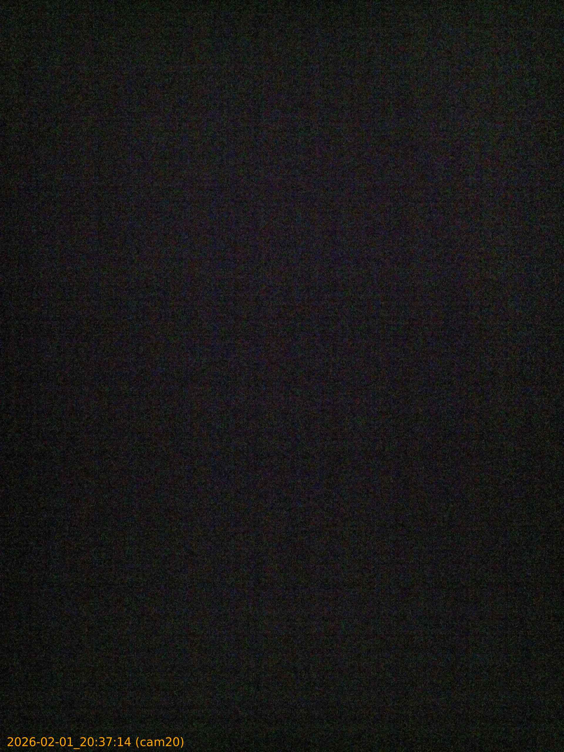 thumbnail_20260201203714