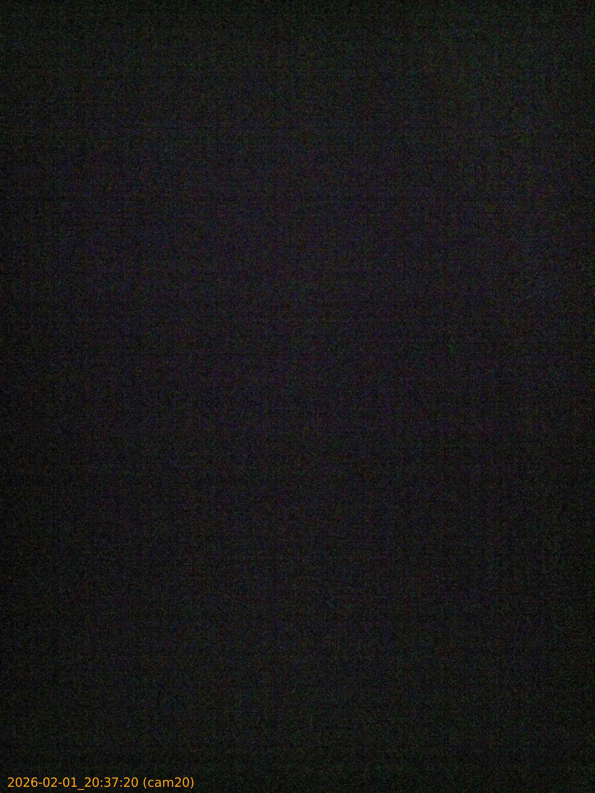 thumbnail_20260201203720