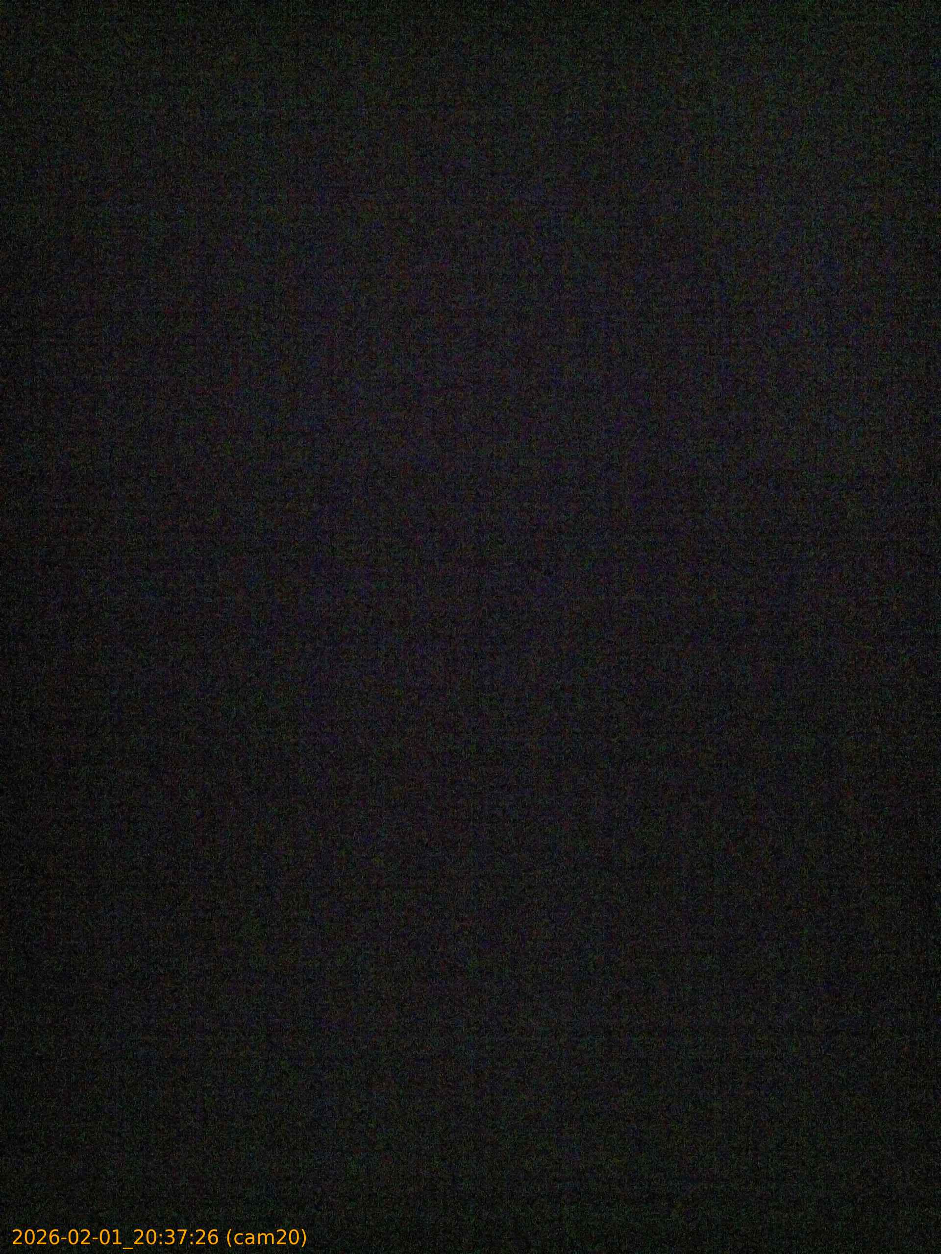 thumbnail_20260201203726