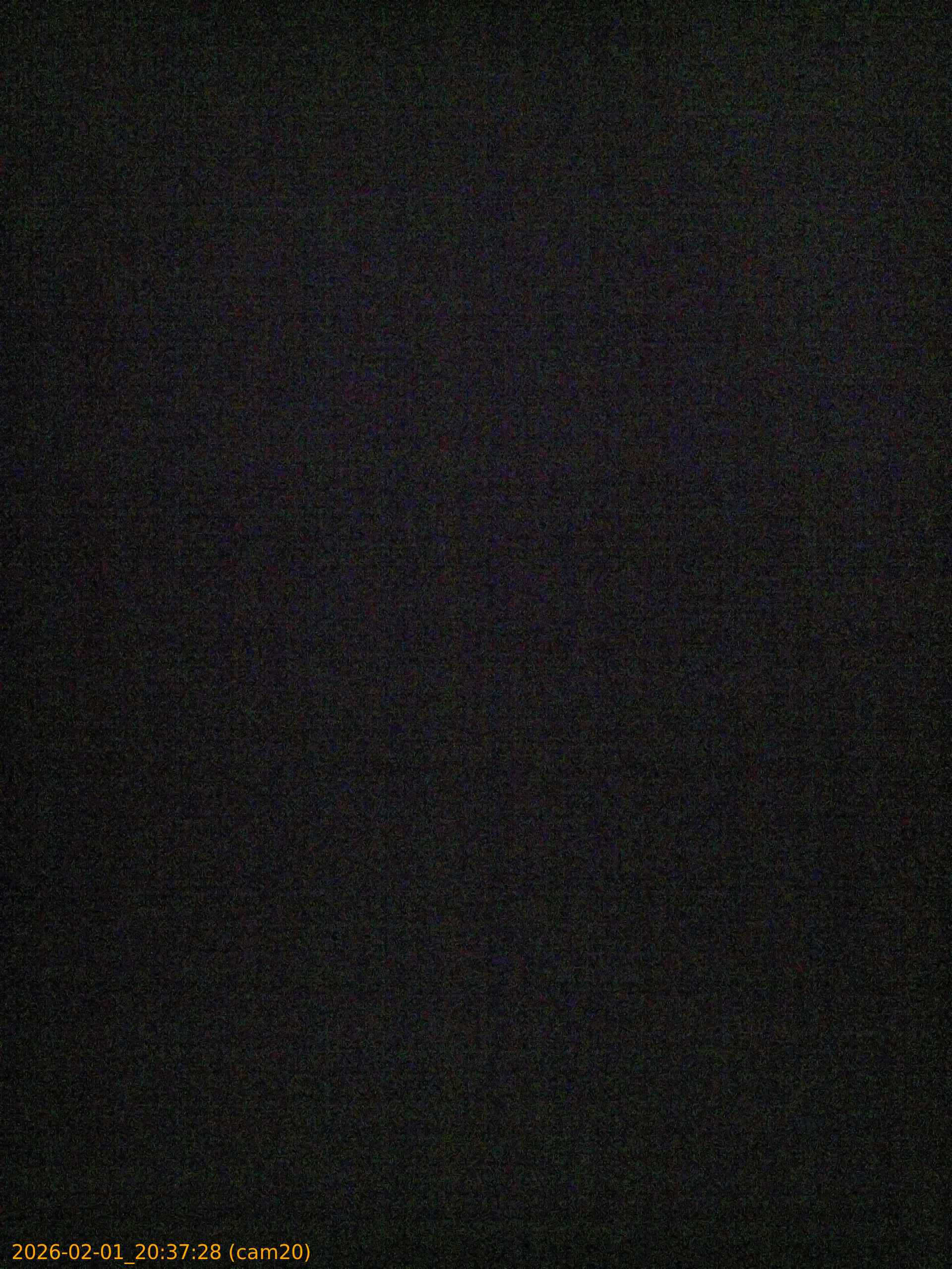 thumbnail_20260201203728