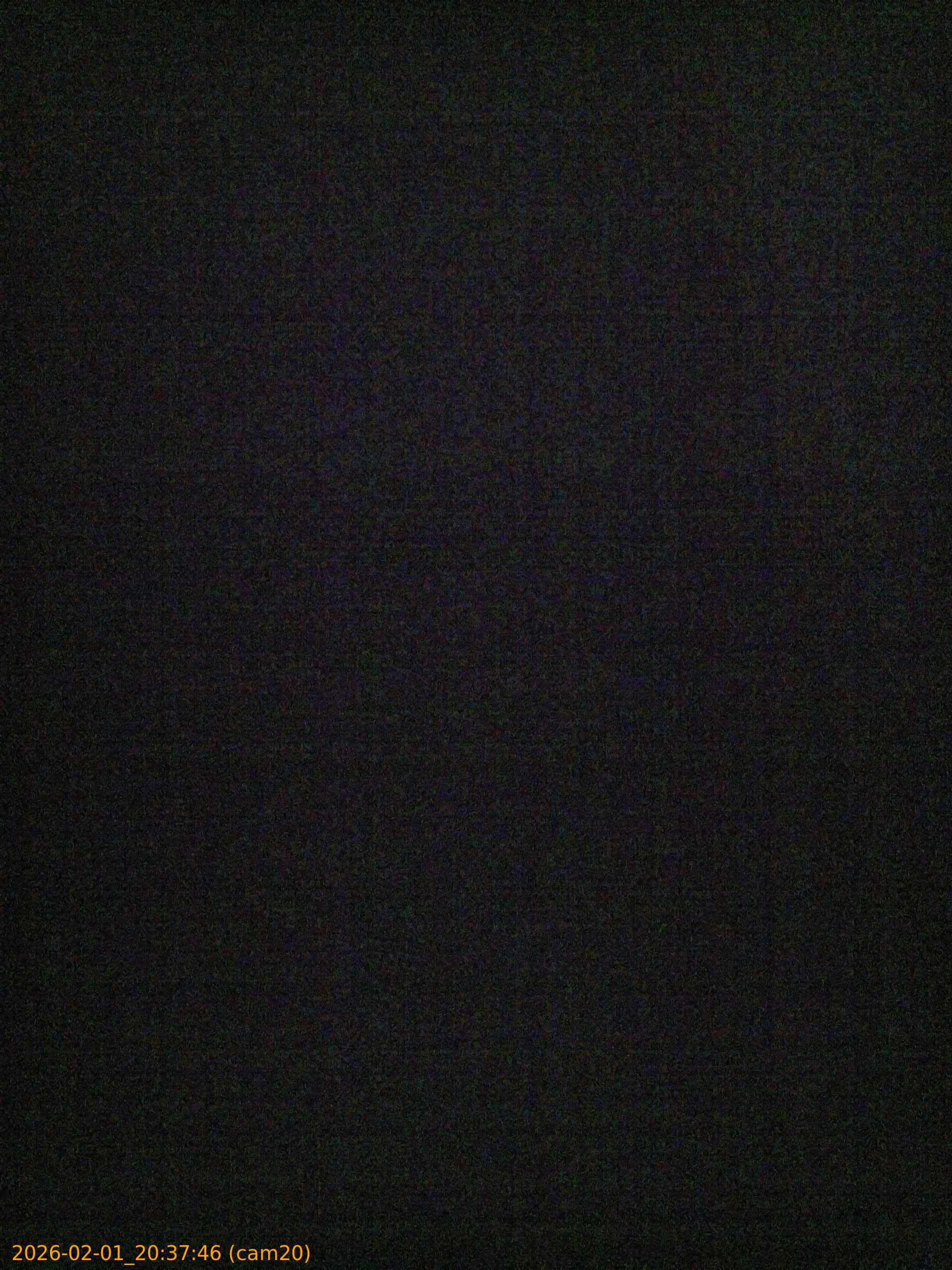 thumbnail_20260201203746