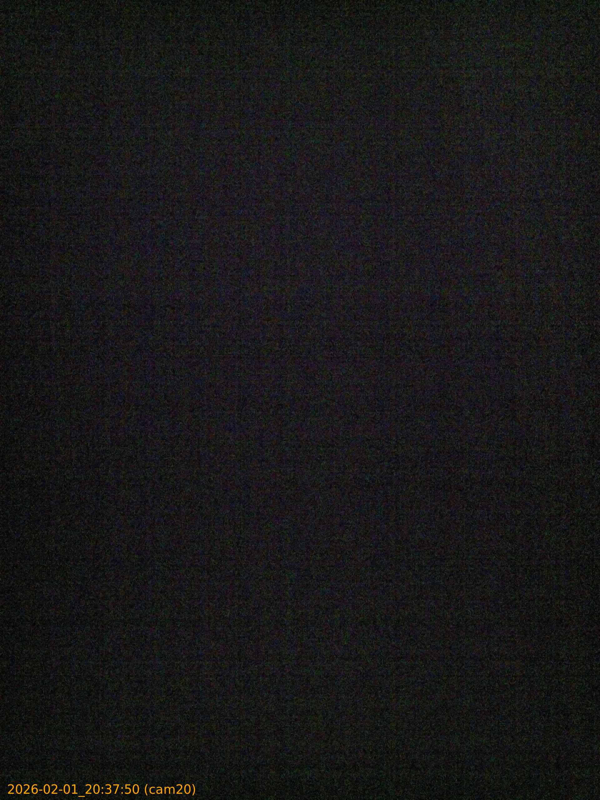 thumbnail_20260201203750