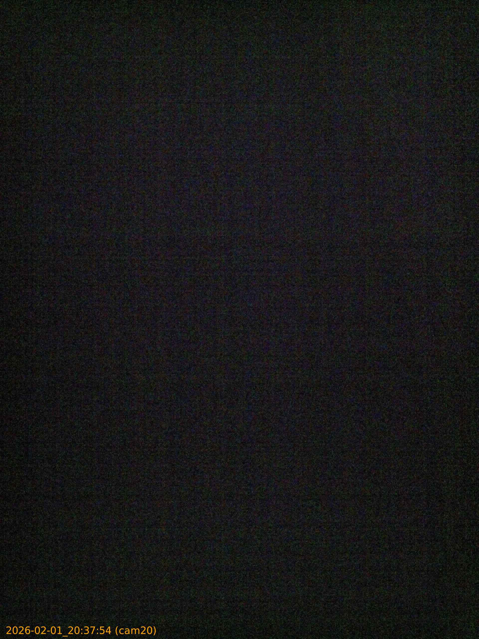 thumbnail_20260201203754