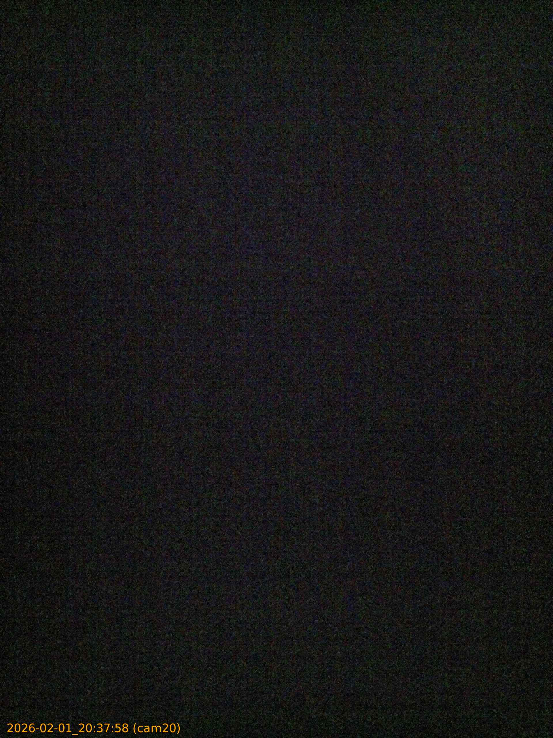 thumbnail_20260201203758