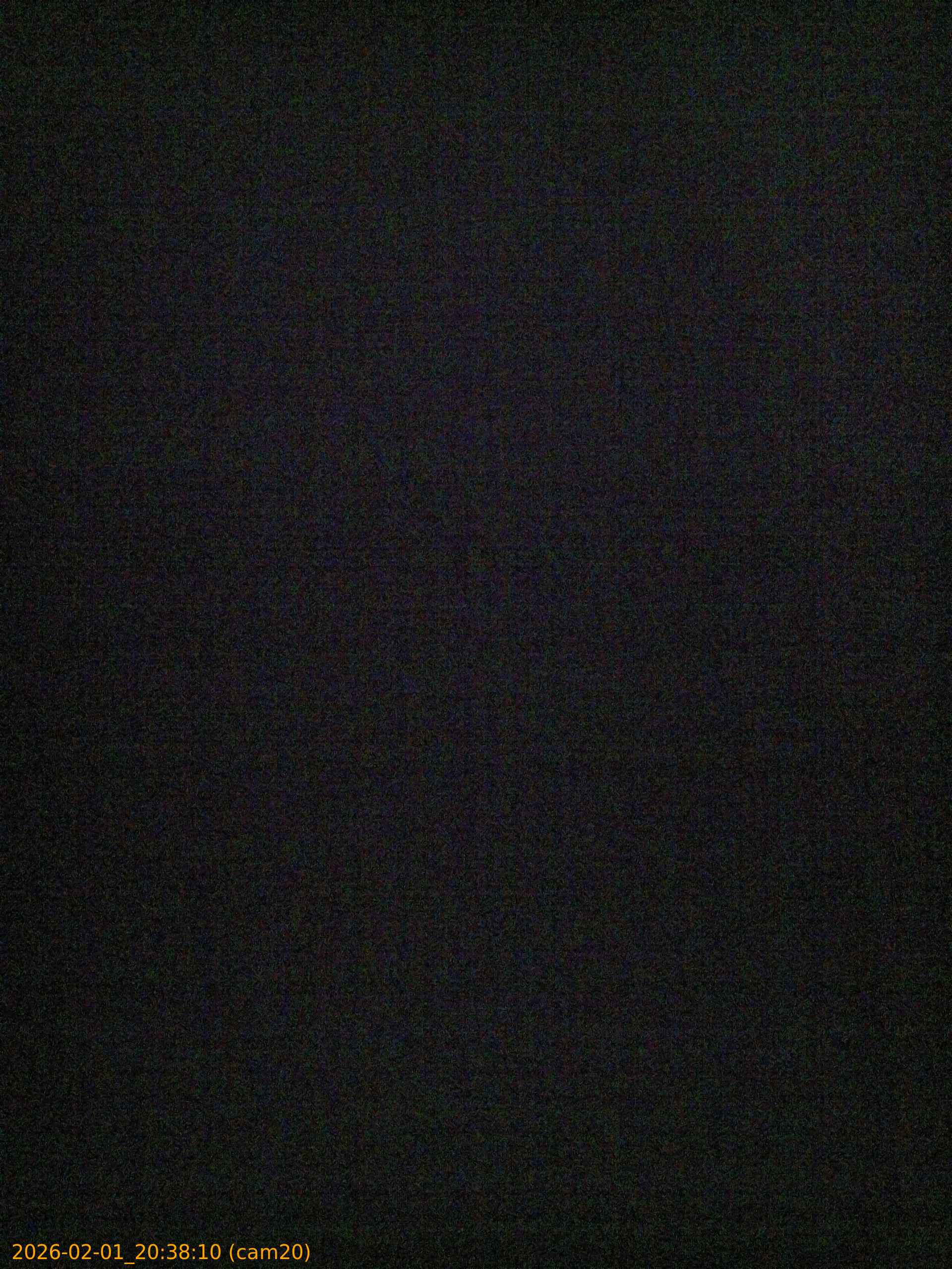 thumbnail_20260201203810