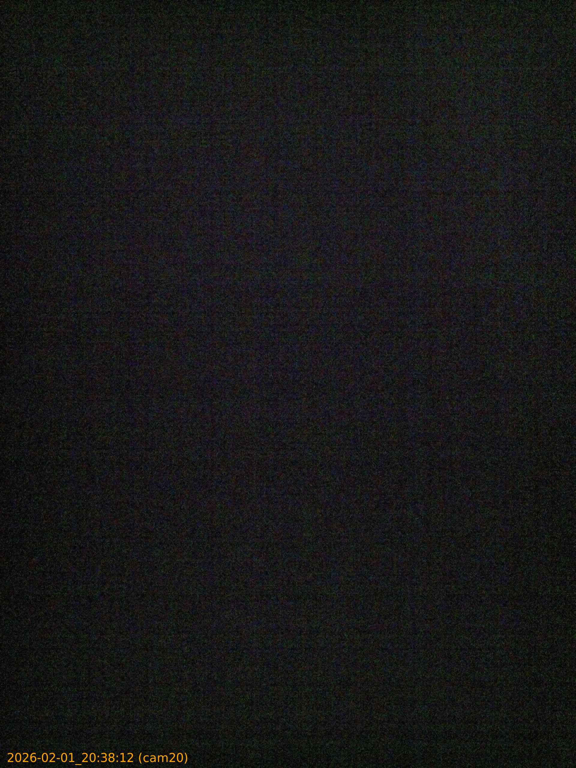 thumbnail_20260201203812