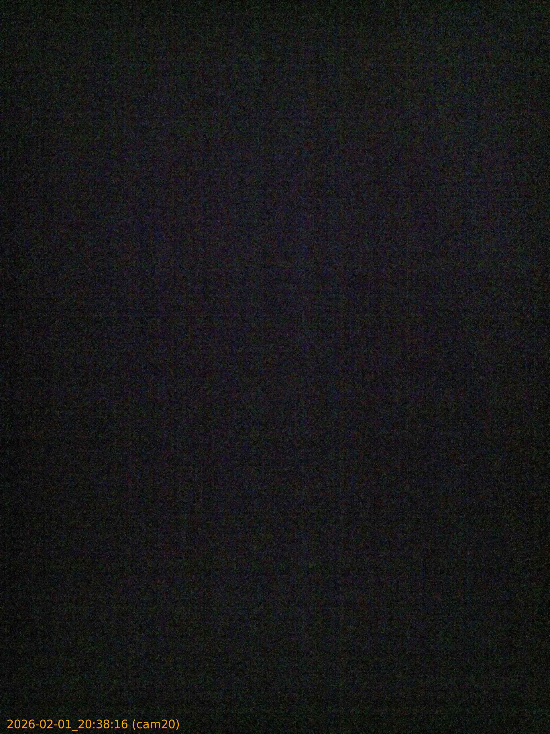 thumbnail_20260201203816