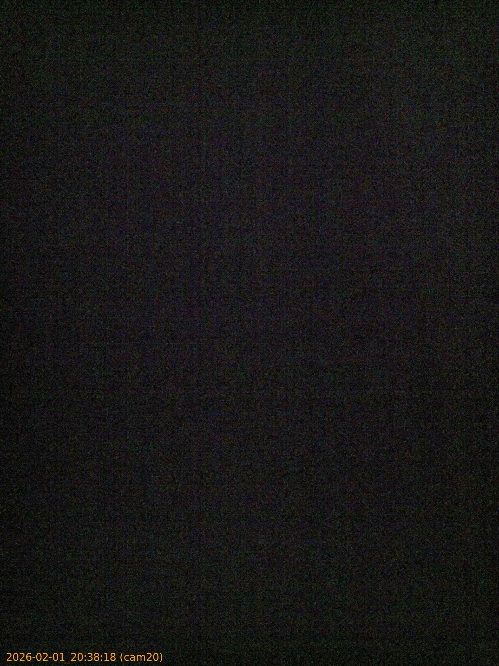 thumbnail_20260201203818