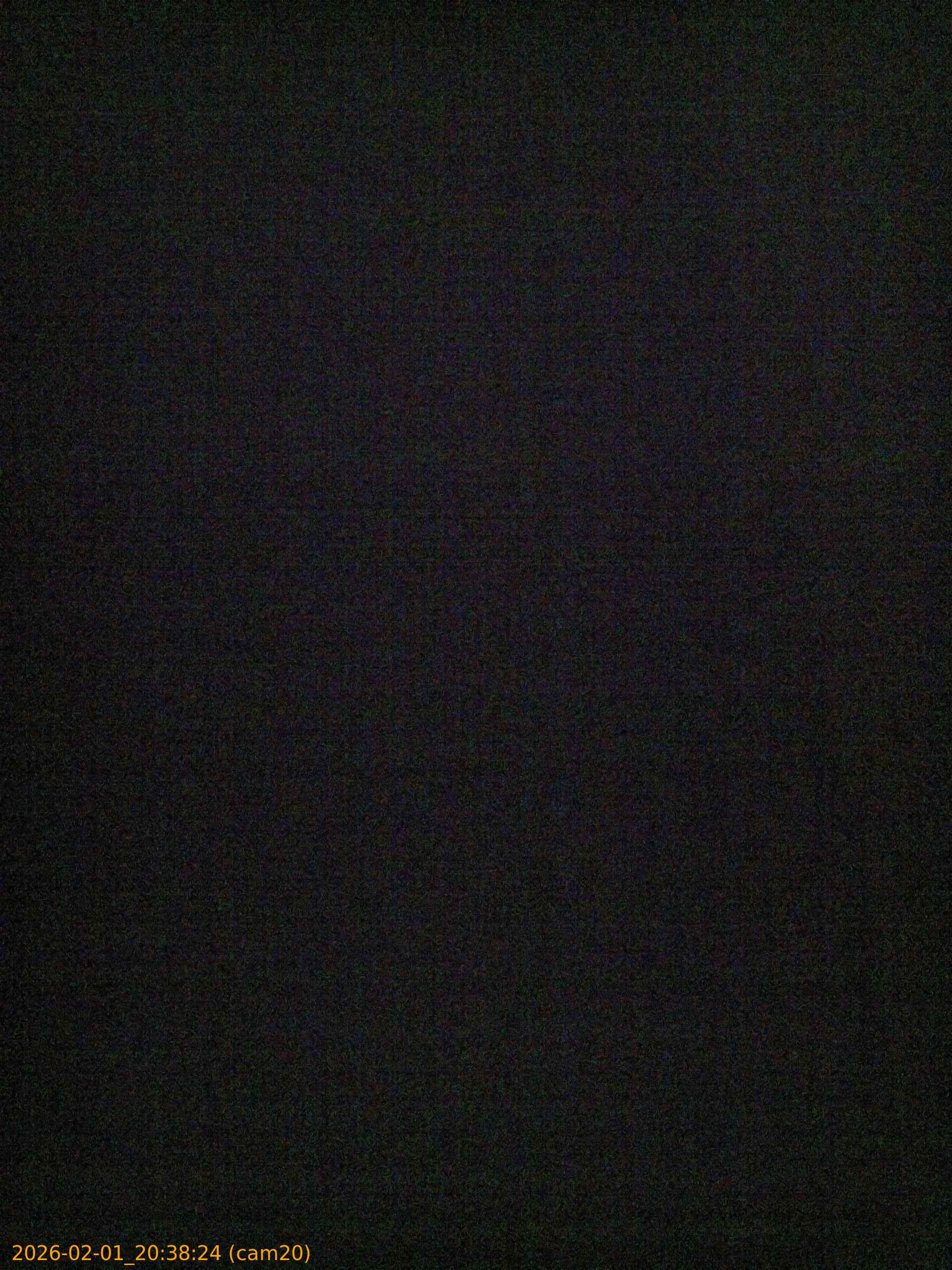 thumbnail_20260201203824