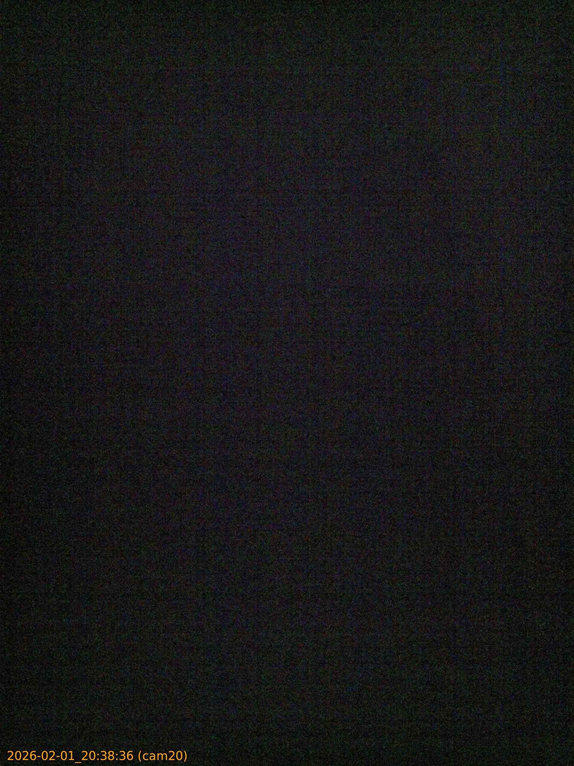 thumbnail_20260201203836