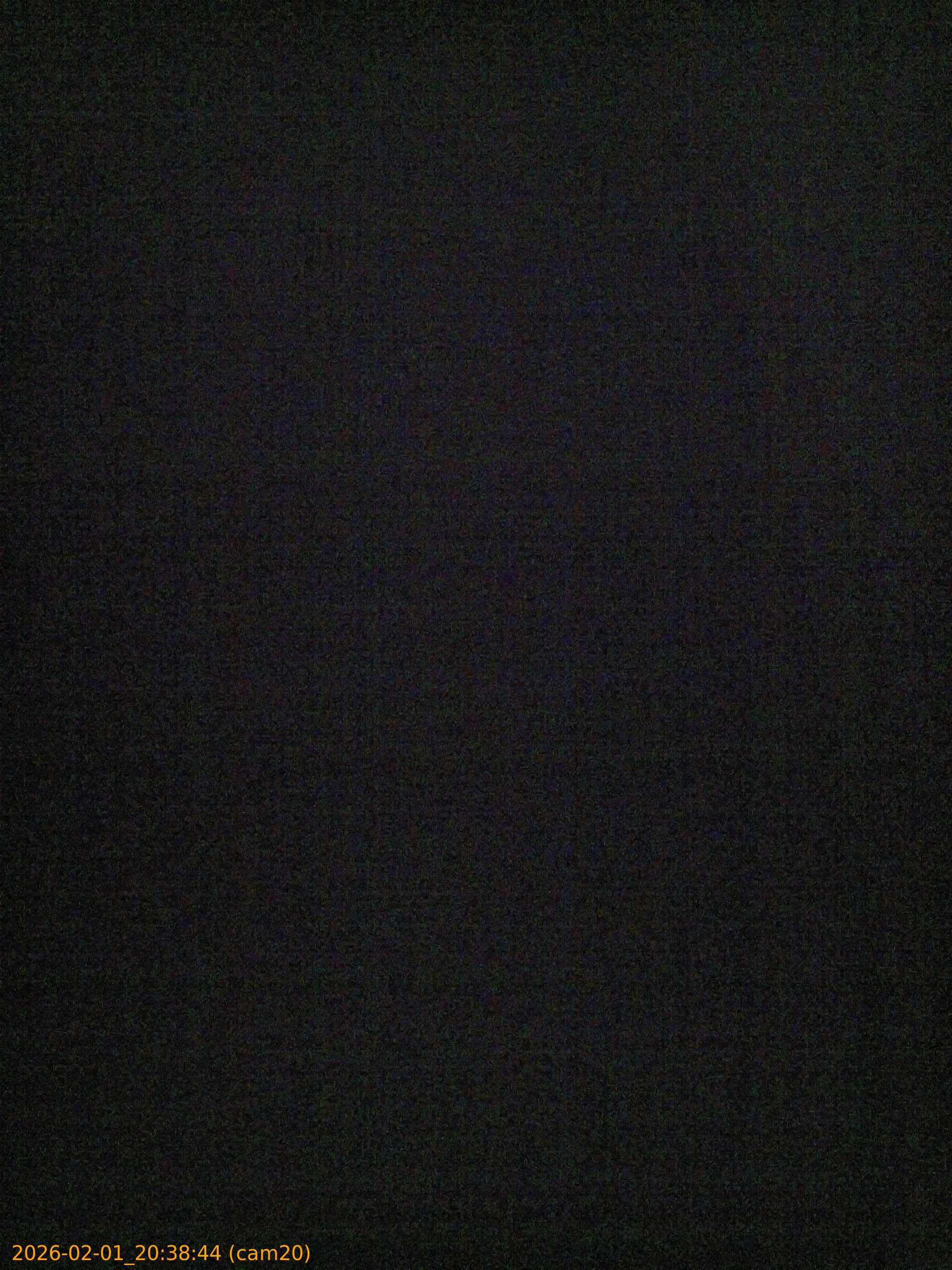 thumbnail_20260201203844