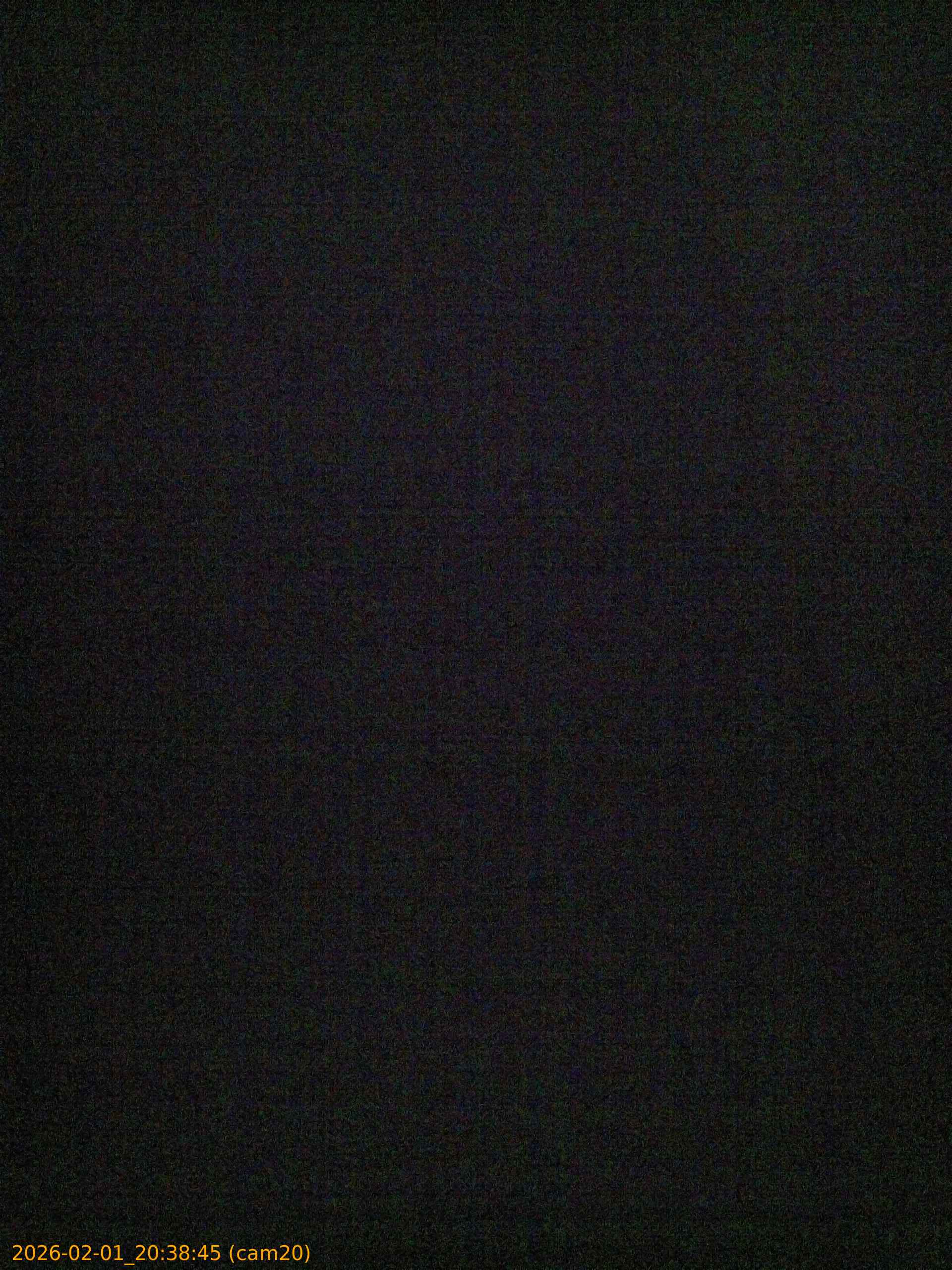 thumbnail_20260201203845