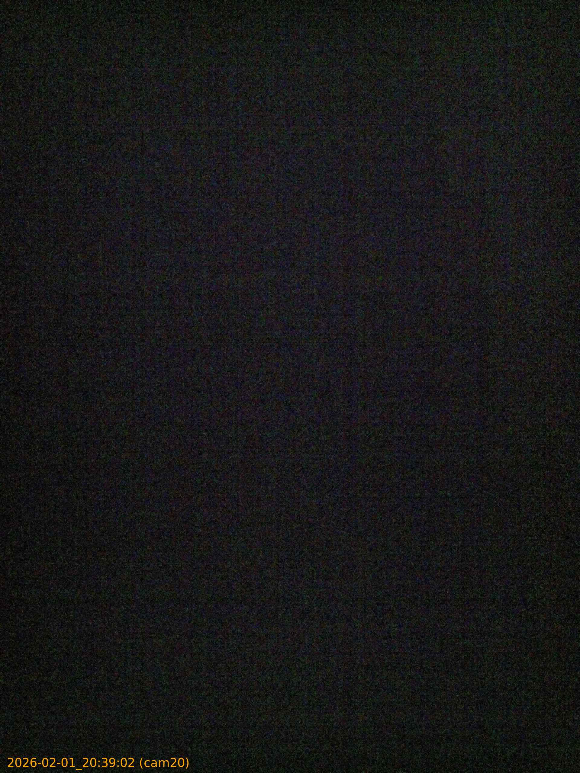 thumbnail_20260201203902